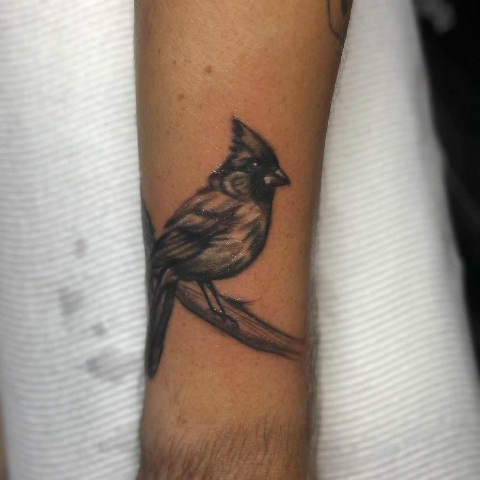 Tattoo by 1_Mo_Tatt on TattMe