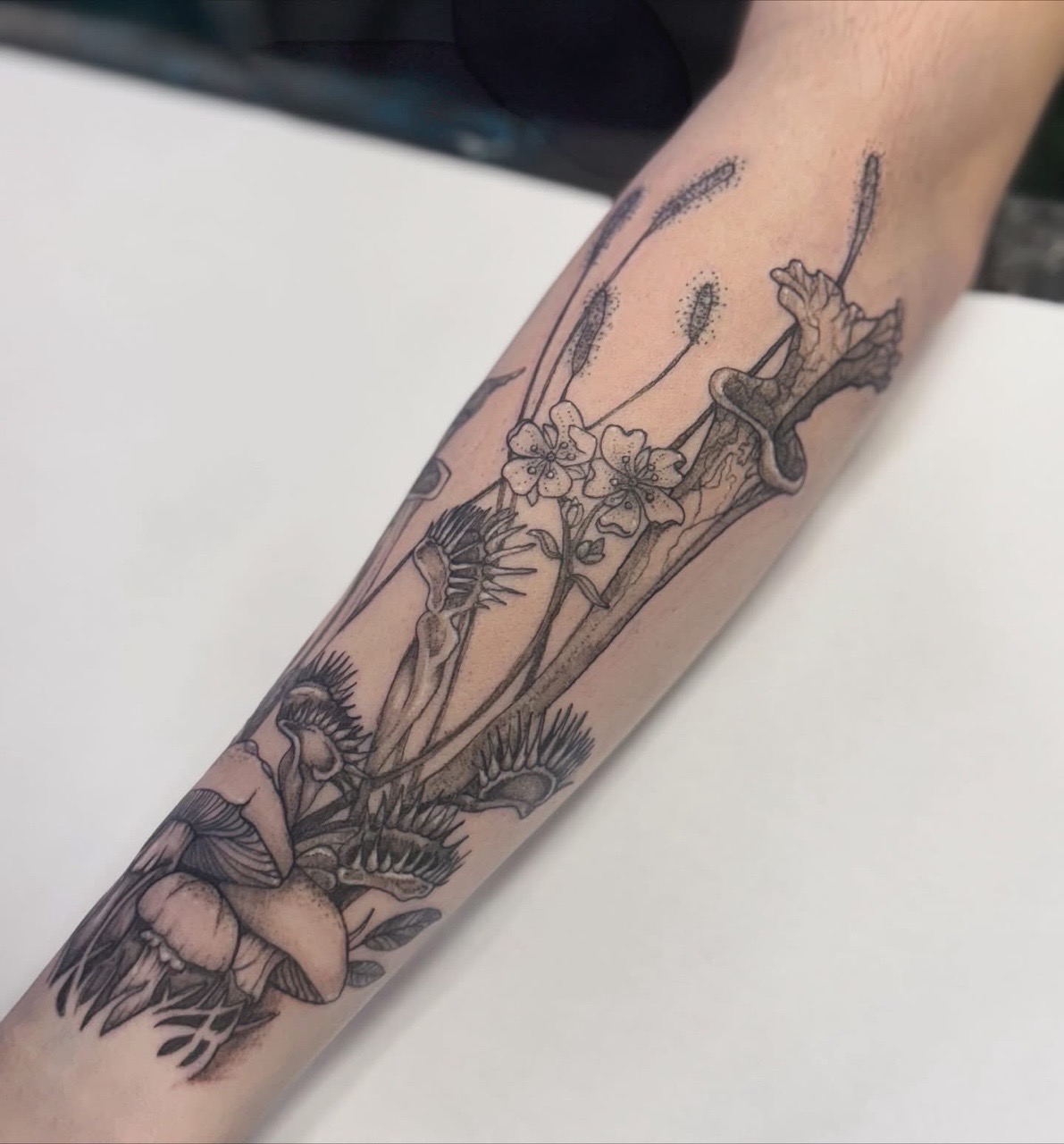 Tattoo by Ashley_Jolly_Tattoo on TattMe