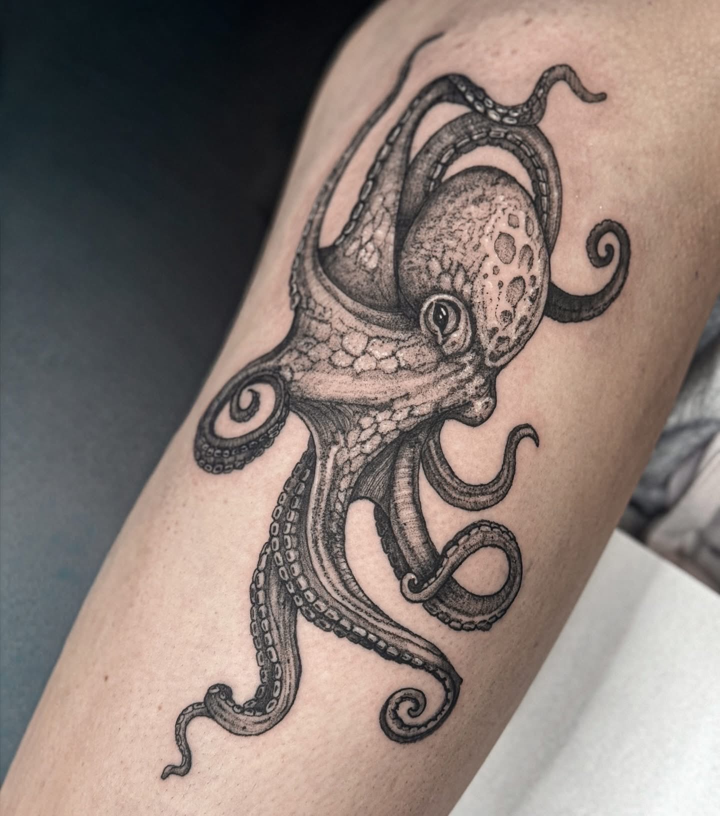 Tattoo by Ashley_Jolly_Tattoo on TattMe