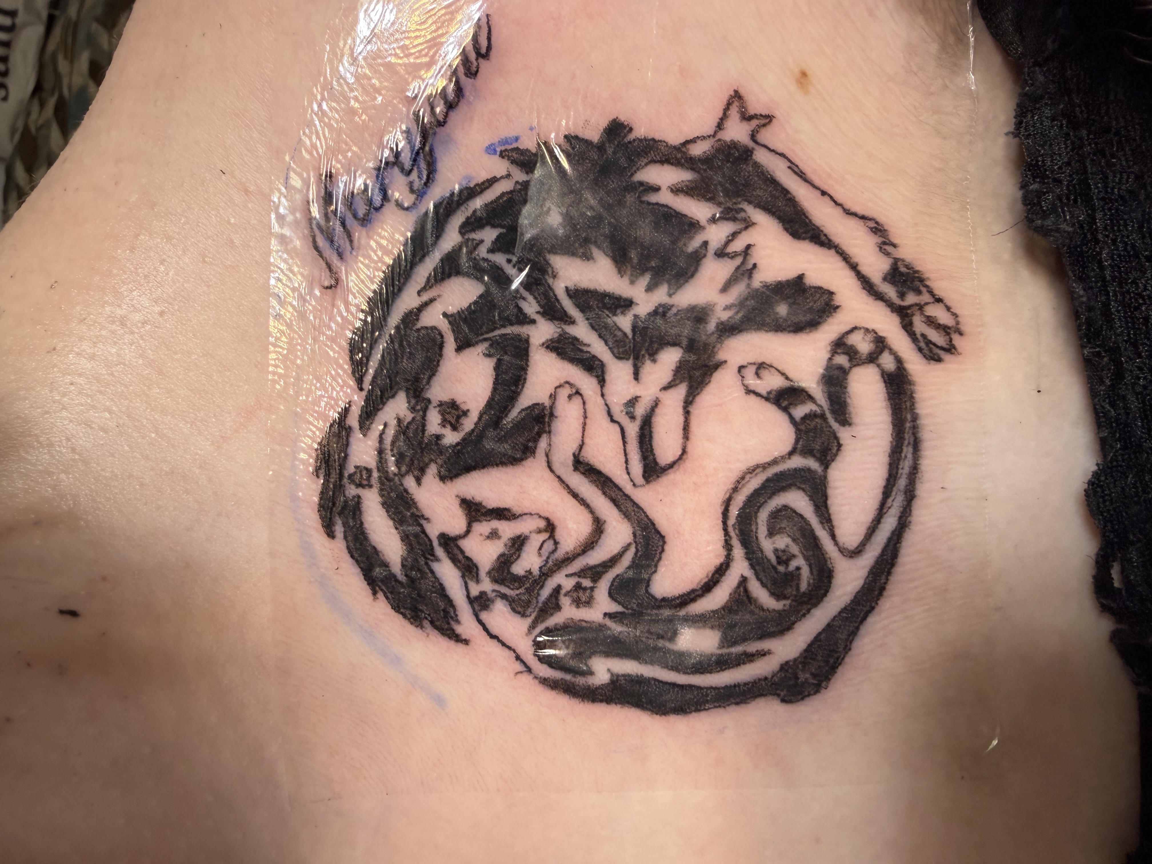 Tattoo by Apex_Effort_Studio on TattMe
