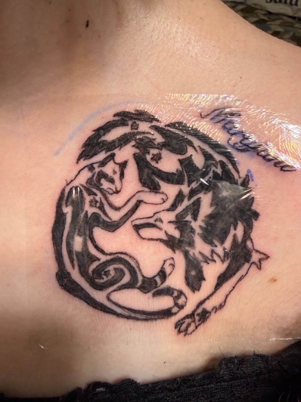 Tattoo by Apex_Effort_Studio on TattMe