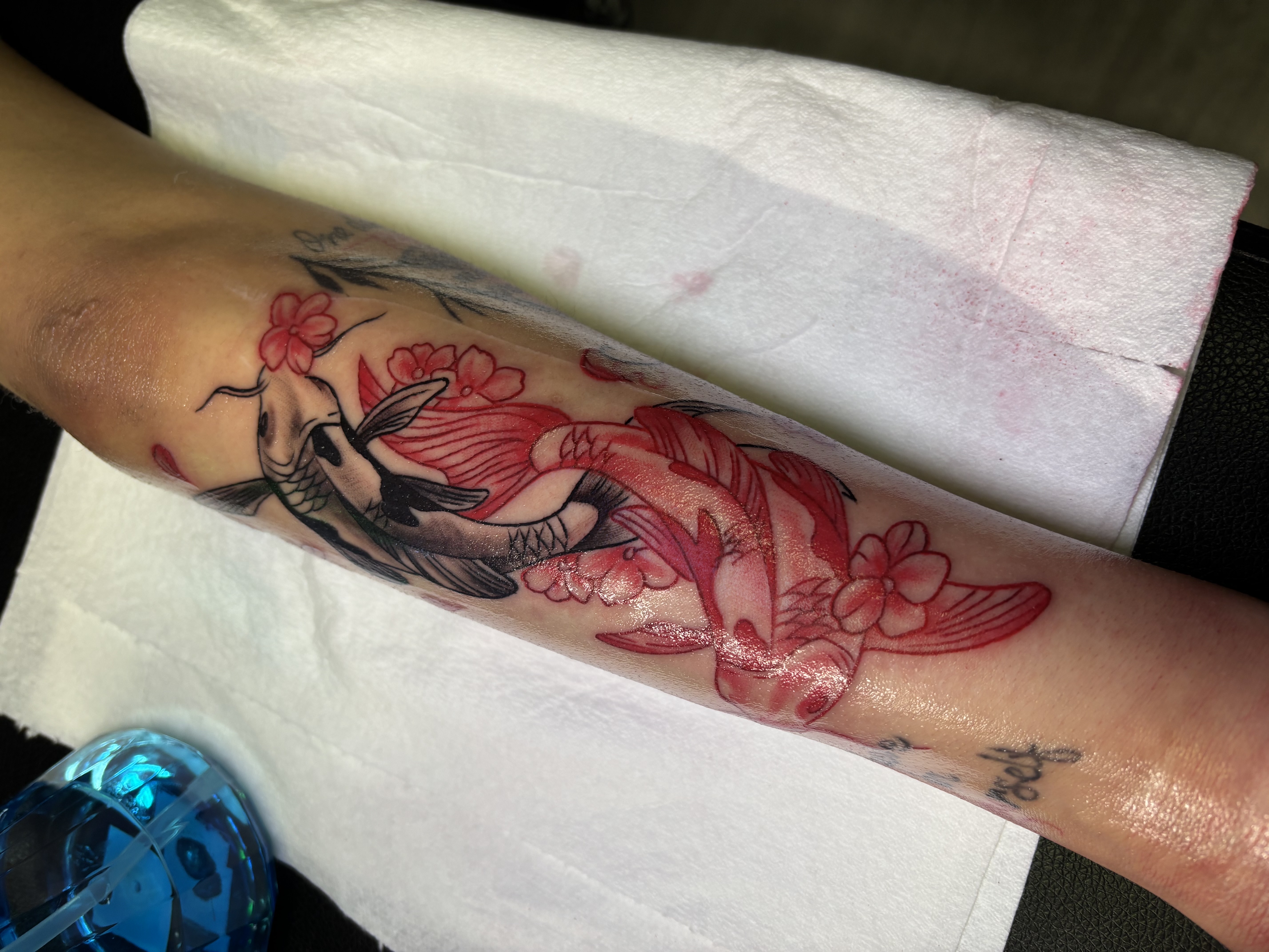 Tattoo by Tattoobeezee on TattMe