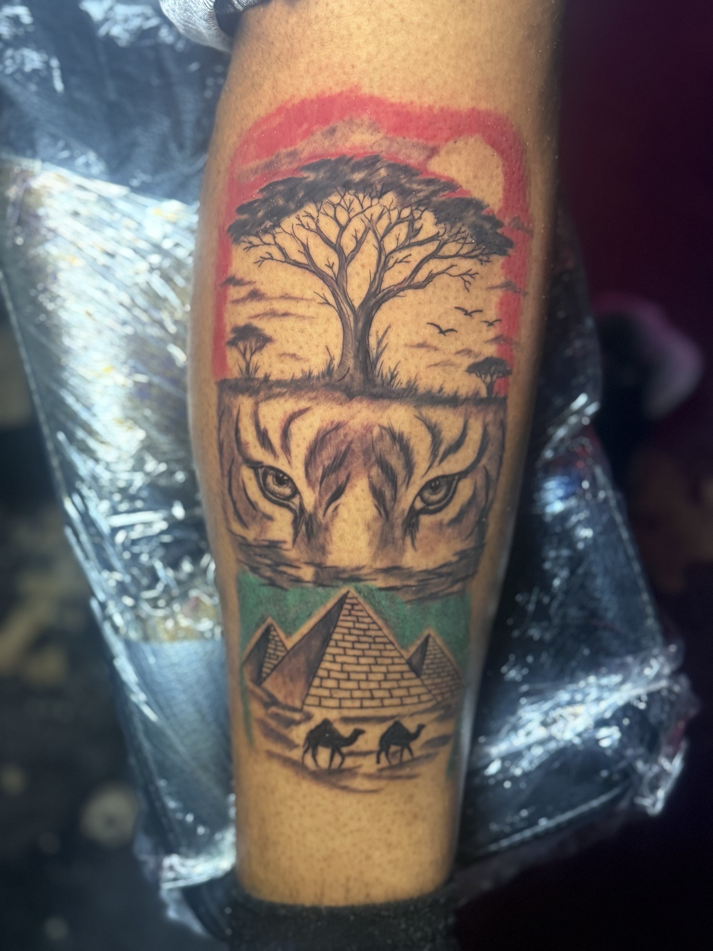 Black & Grey + Color tree tattoo on Calf by AmenInkLLC on TattMe