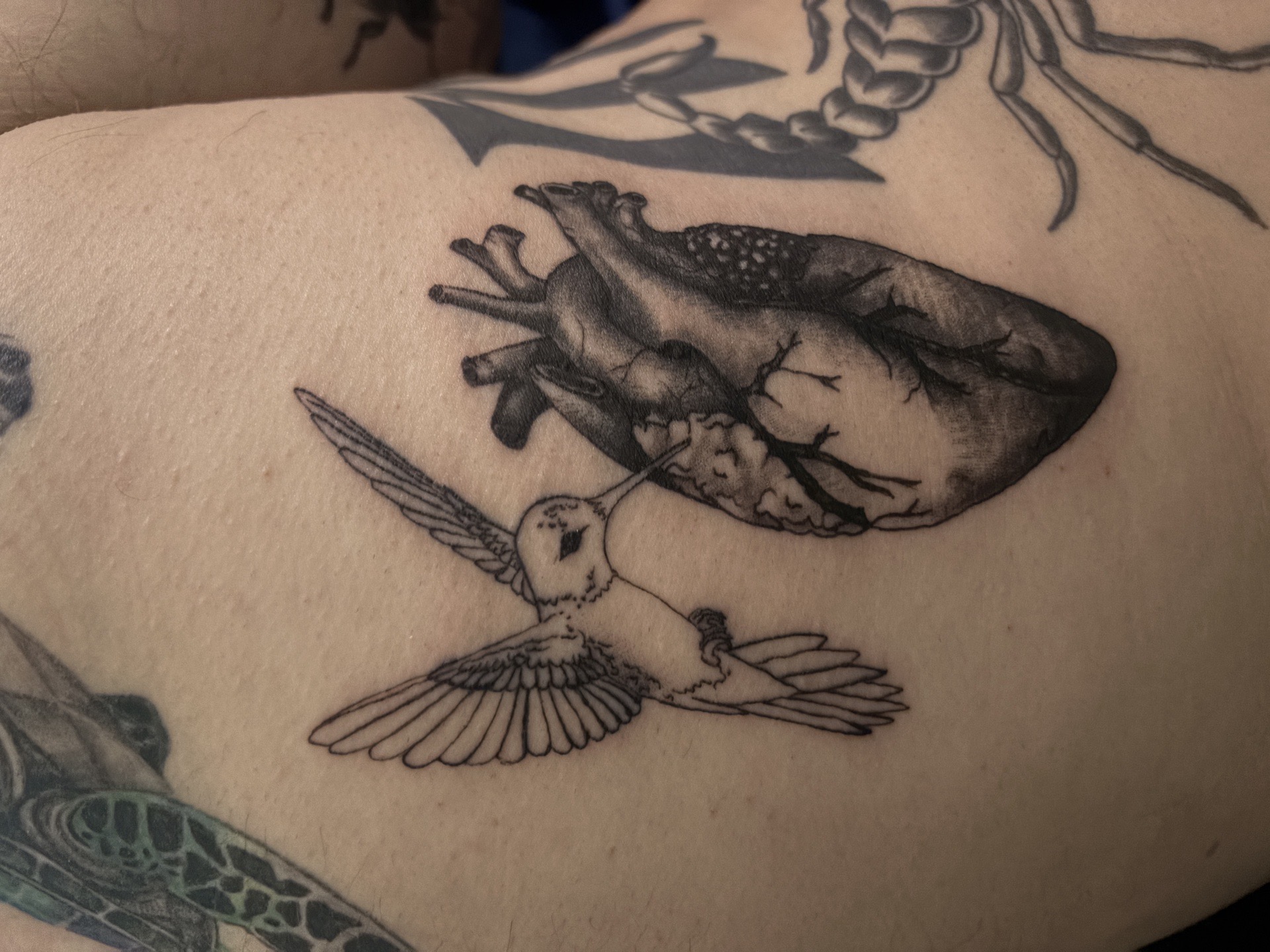 Fine Line + Black & Grey hummingbird tattoo on Side (Torso) by Skull_Brothers_Ink on TattMe