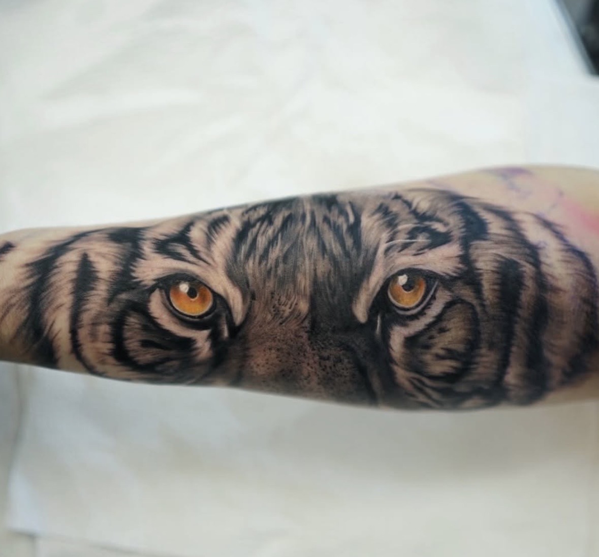 Realism + Black & Grey tiger tattoo on Forearm by Handrosart on TattMe