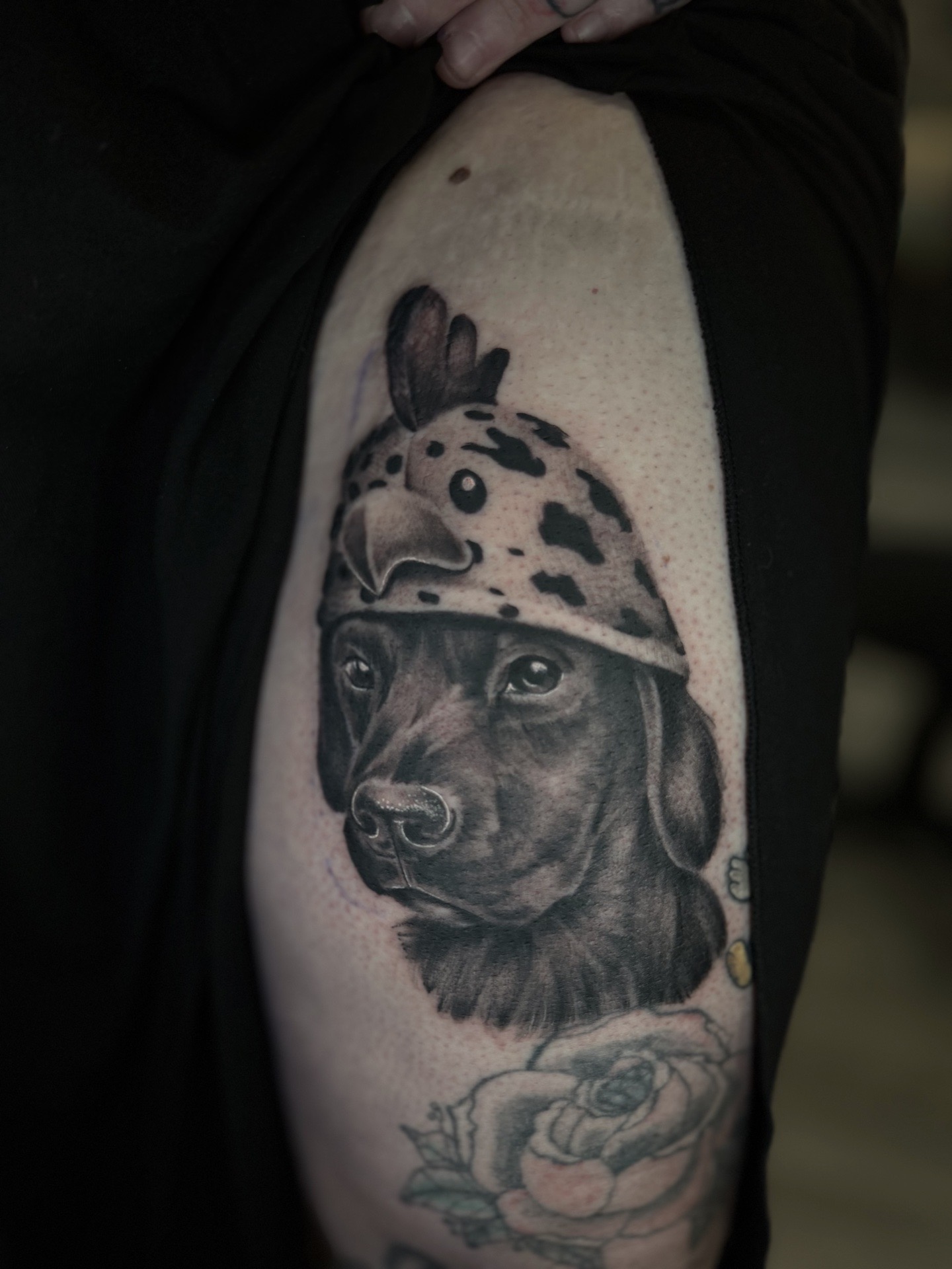 dog tattoo on Thigh by Radtattoo on TattMe