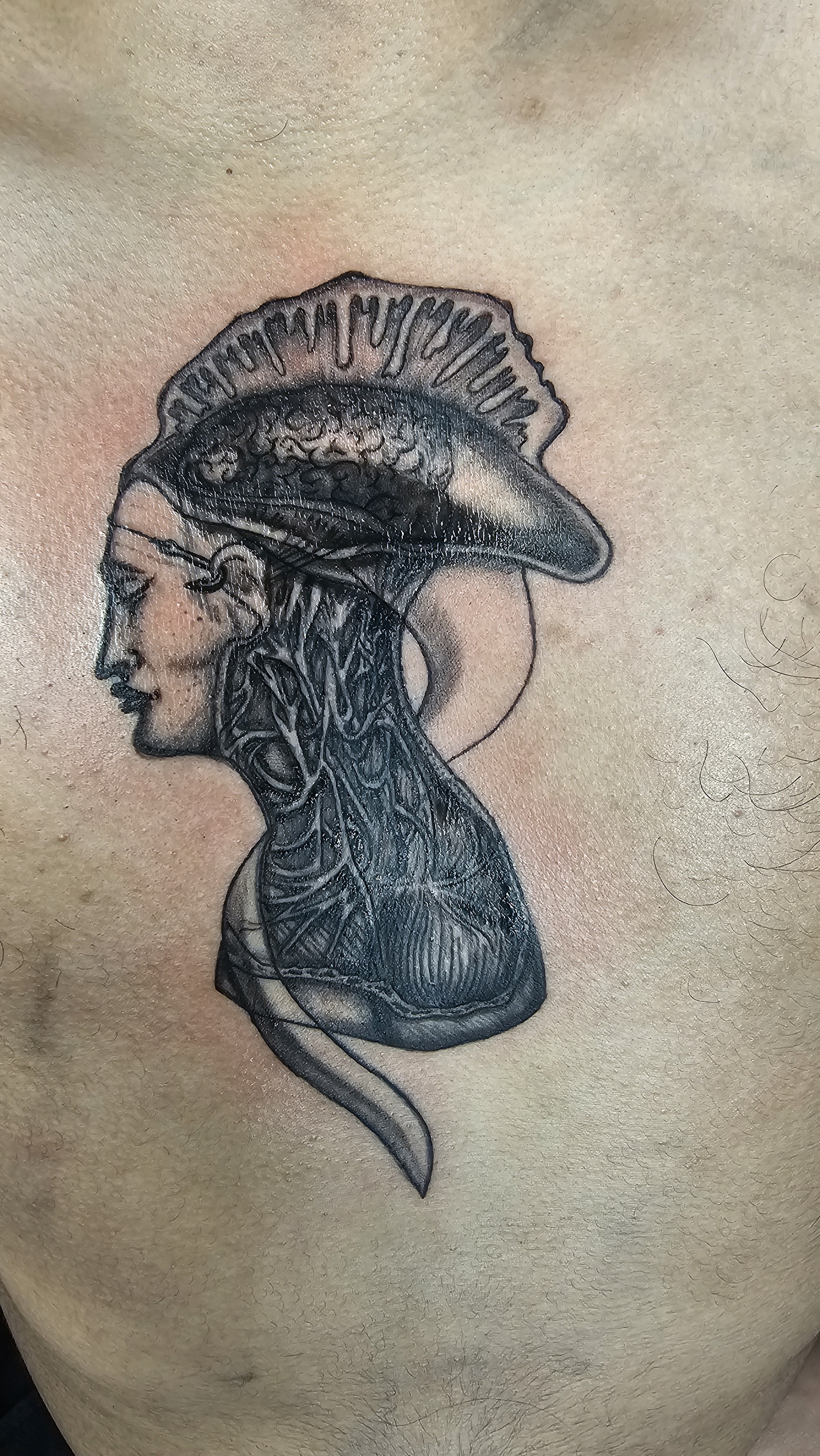 Tattoo by Selva_Tierra_Tattoos on TattMe