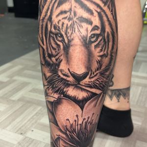 Black & Grey + Realism tiger tattoo on Calf by Mo_Money_Tatts on TattMe