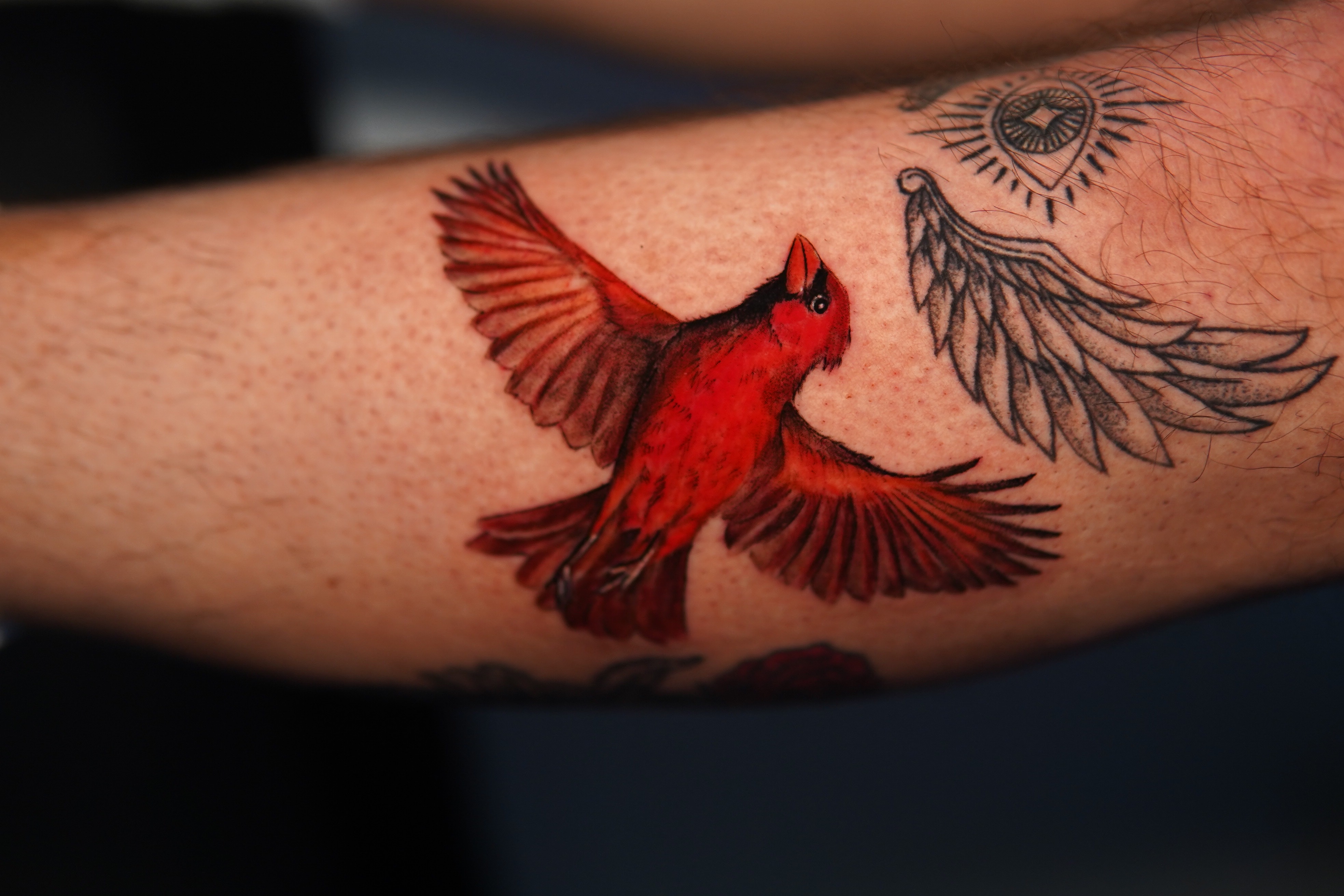Tattoo by Moe_Tatts on TattMe