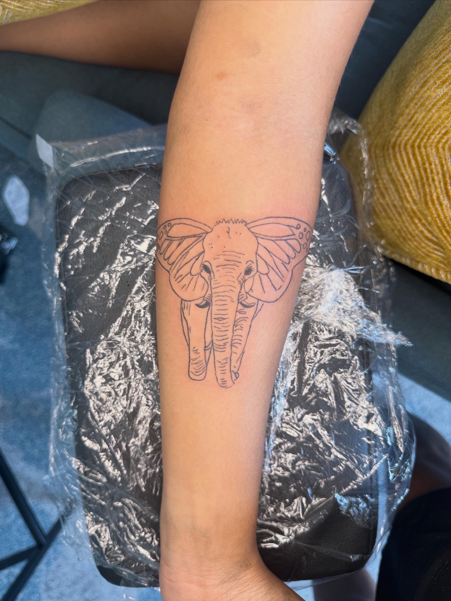 Line-work elephant tattoo on Forearm by Inkedbygeez on TattMe