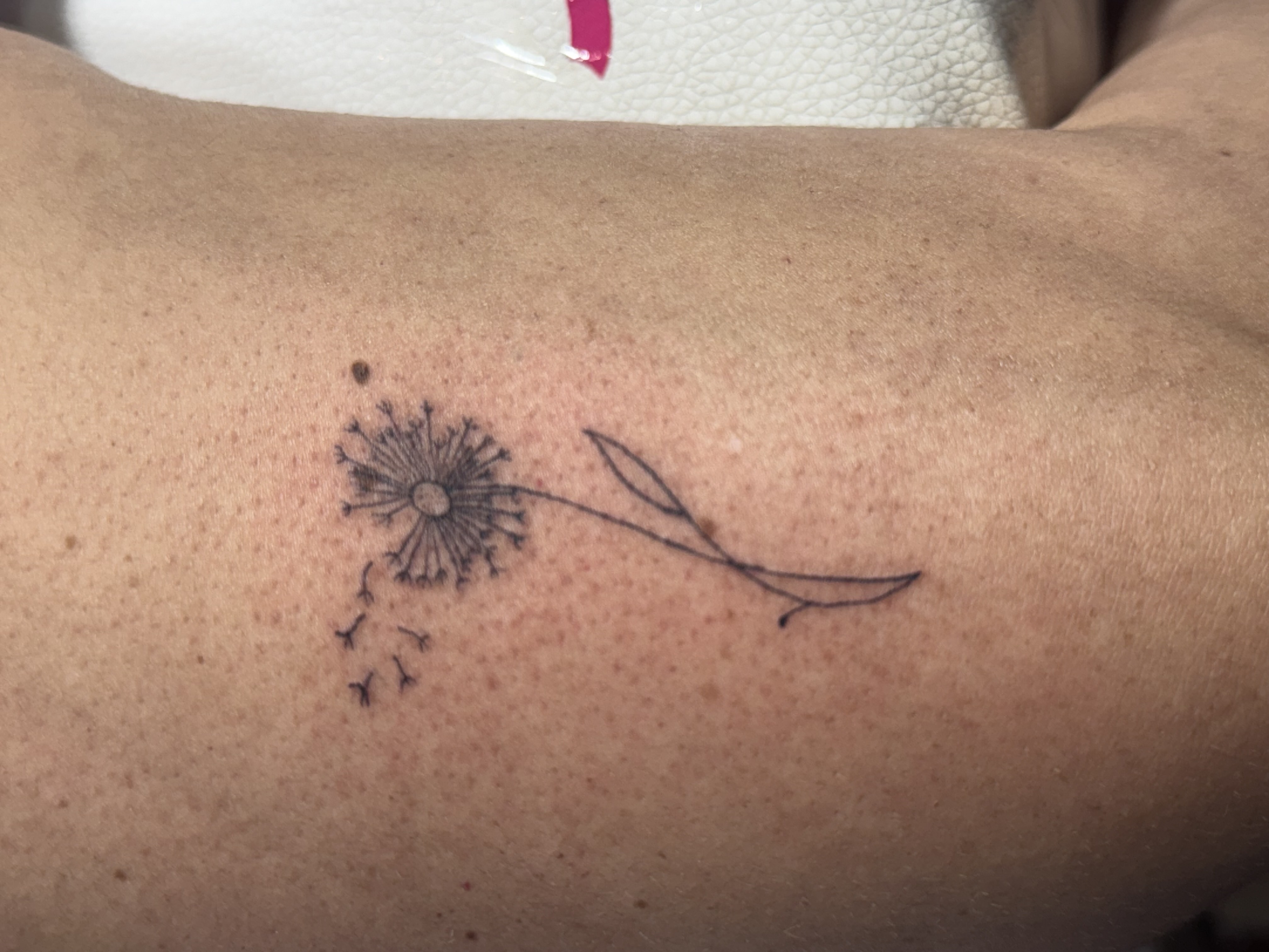 Tattoo by William_Samaras on TattMe