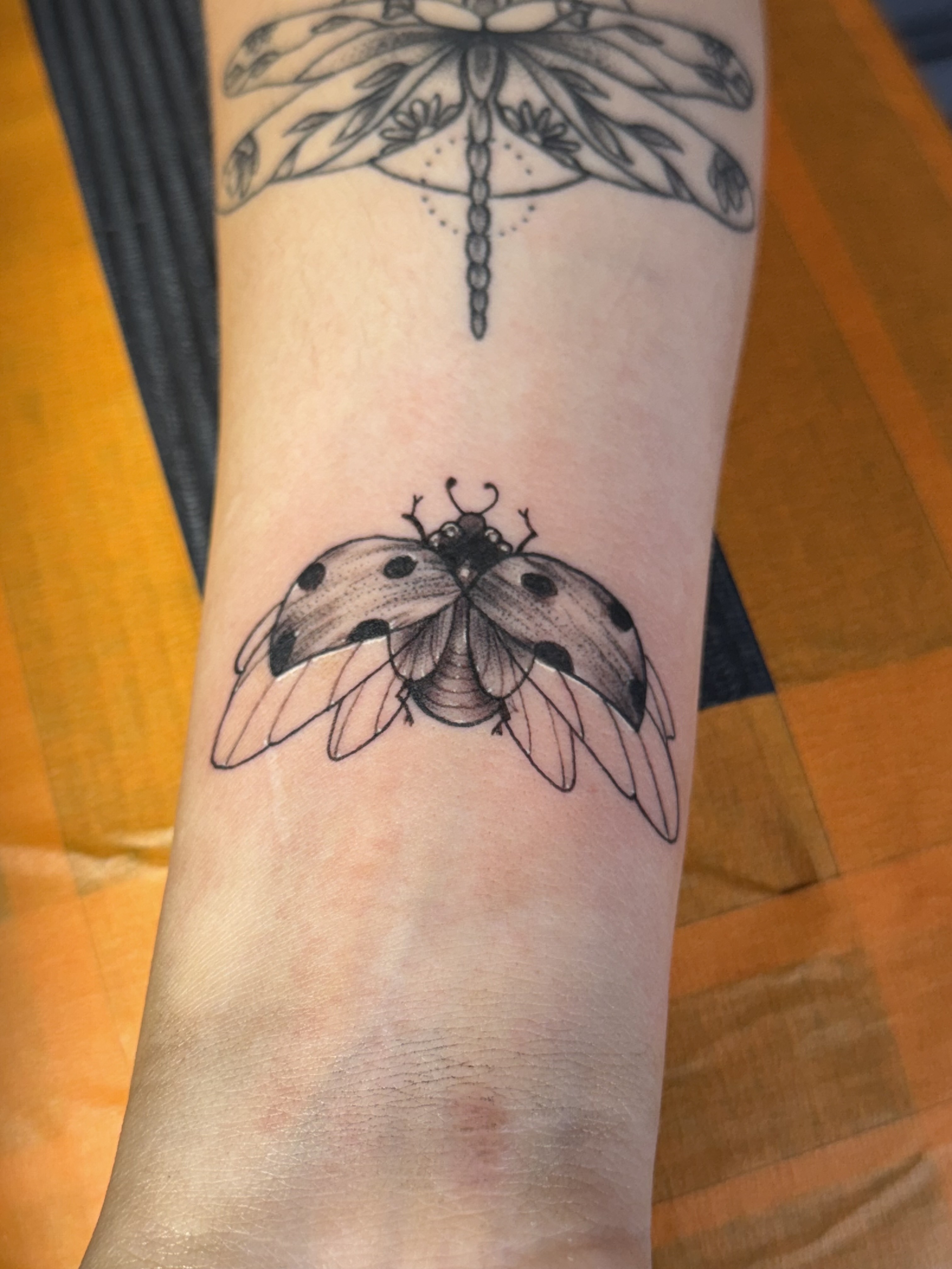Tattoo by William_Samaras on TattMe
