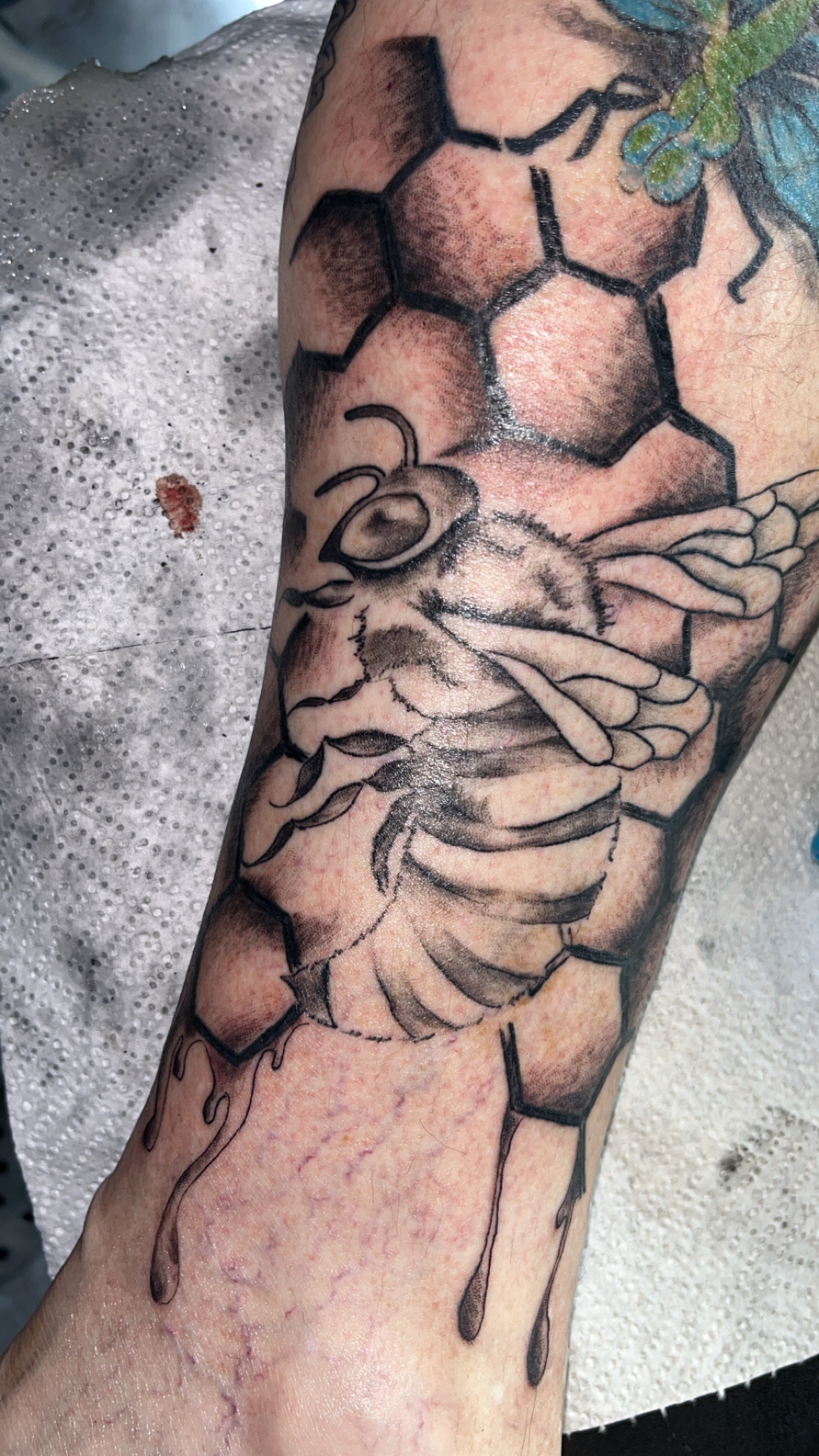 Tattoo by Studio_22 on TattMe