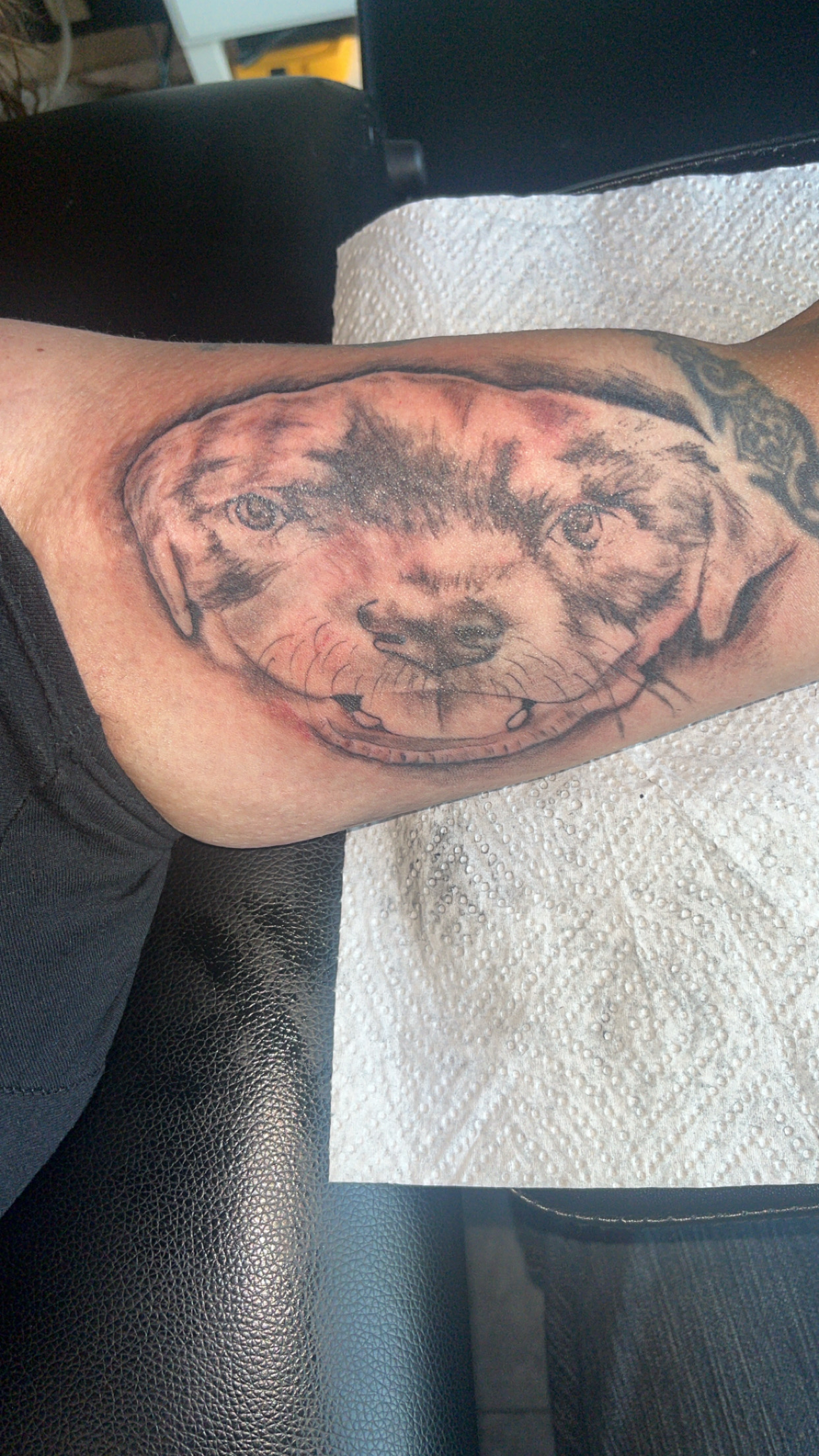 Tattoo by Studio_22 on TattMe
