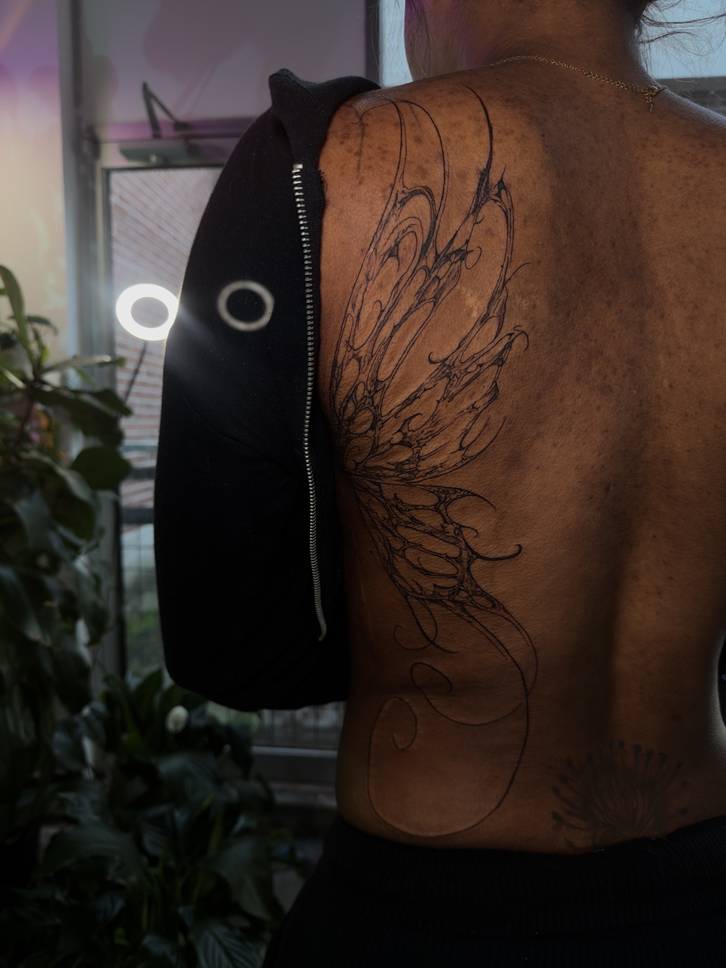Fine Line + Black-work wing tattoo on Upper Back by SkaijRose on TattMe