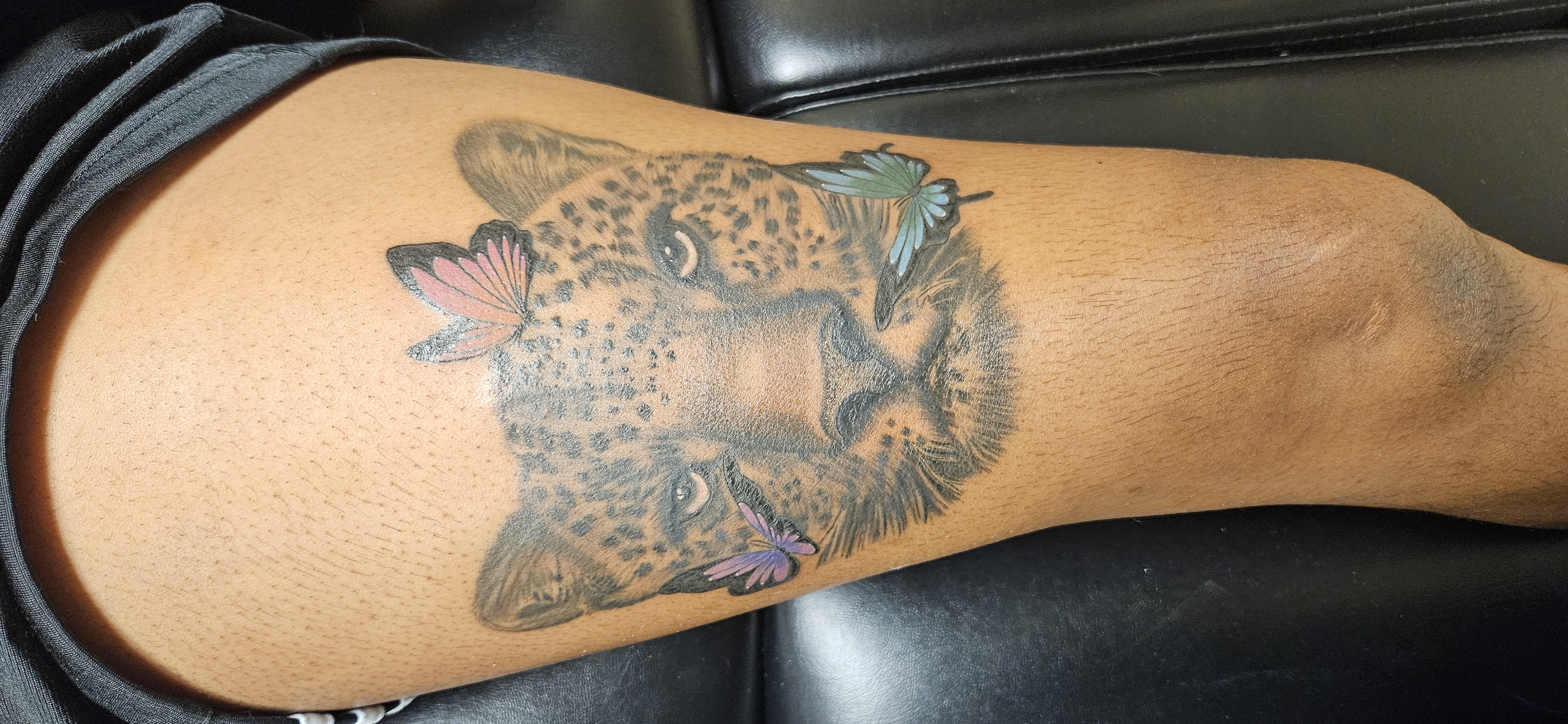 Animals + Color color tattoo by 2nd_Circle_Tattoo_Co on TattMe