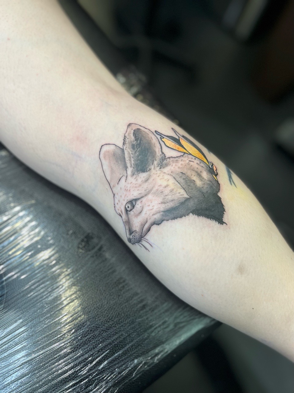 Tattoo by Brogan_Tattoos on TattMe