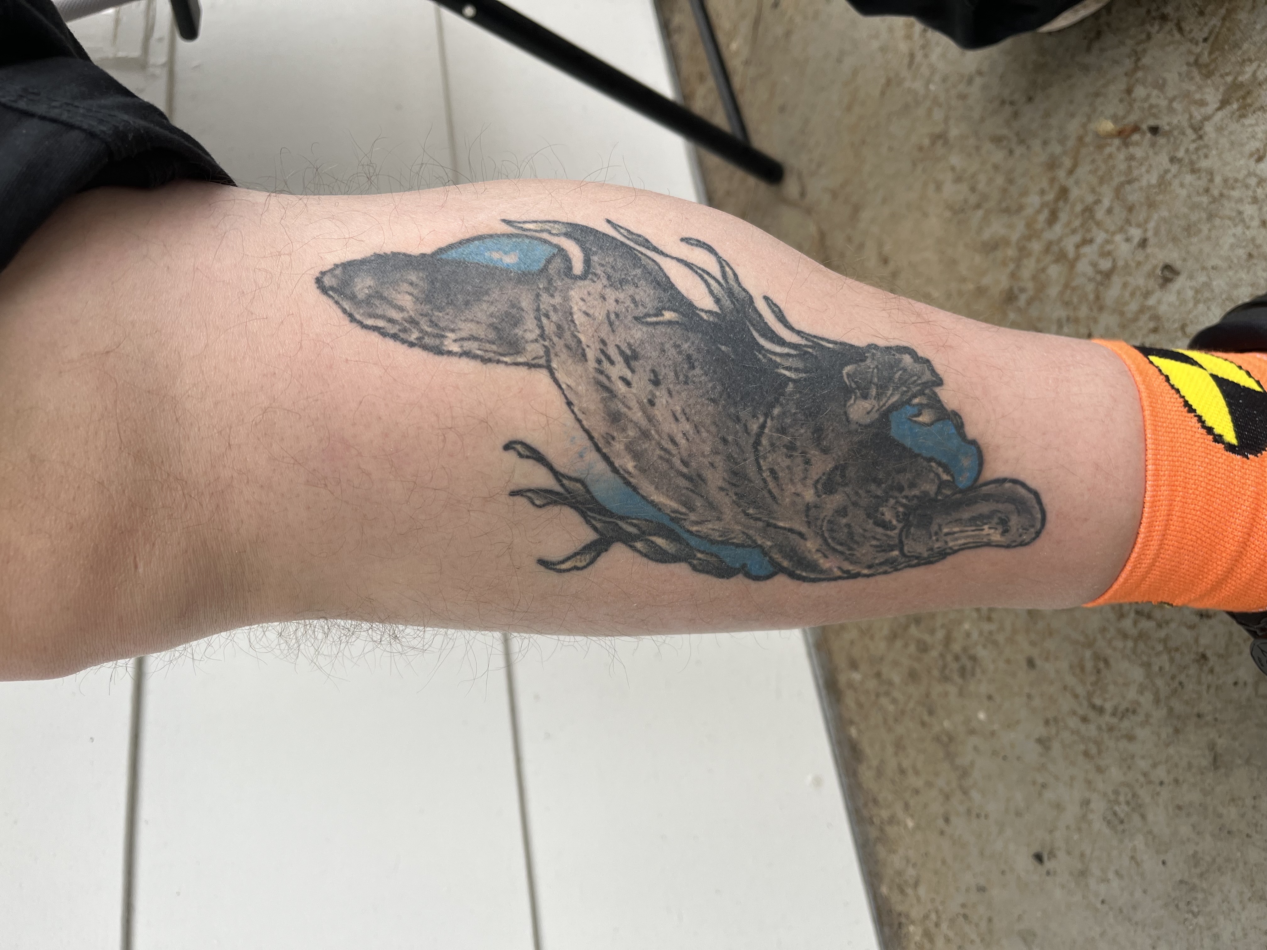 Tattoo by Brogan_Tattoos on TattMe