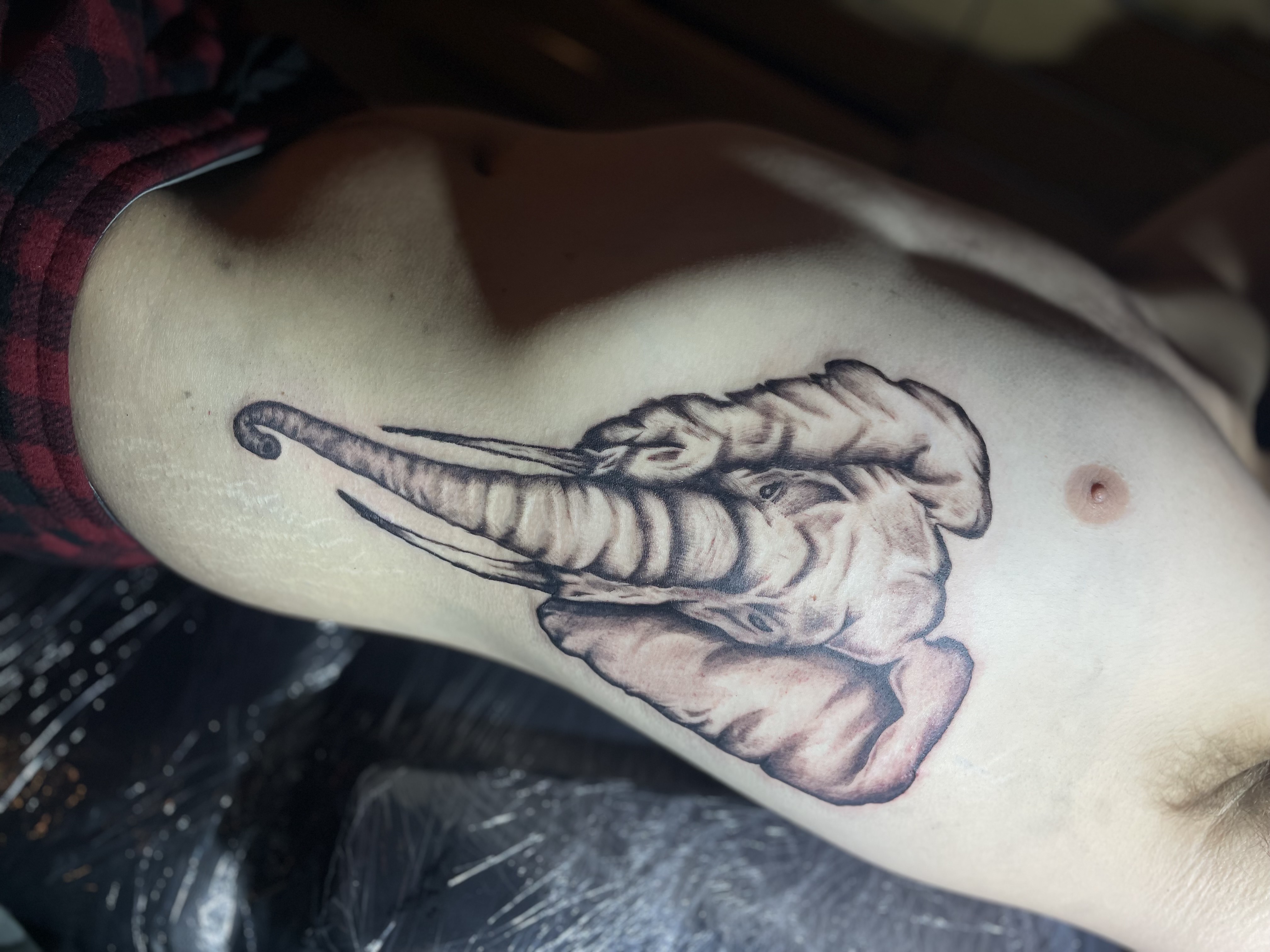Tattoo by Pain_Ink on TattMe