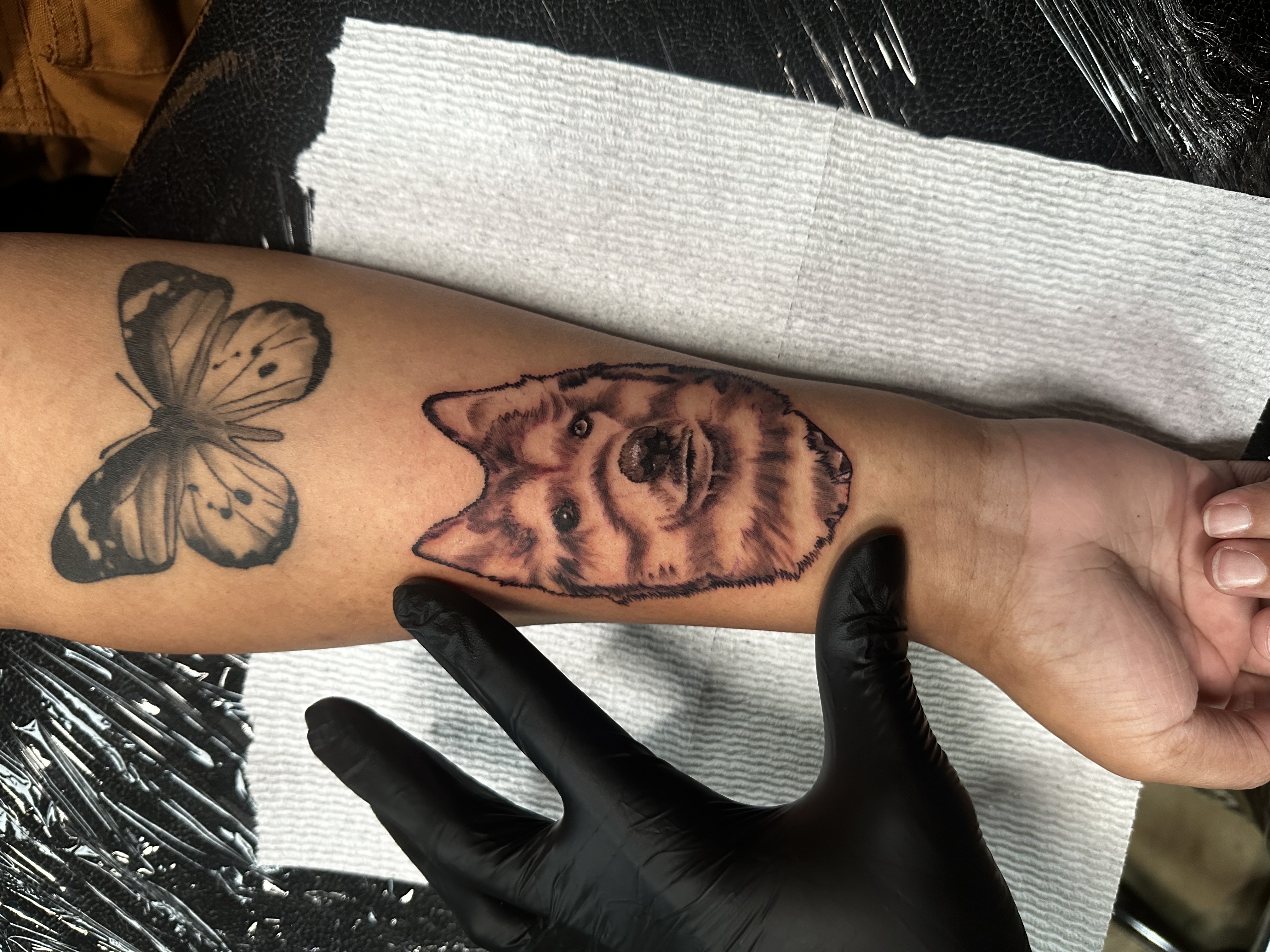 Tattoo by Trevion on TattMe