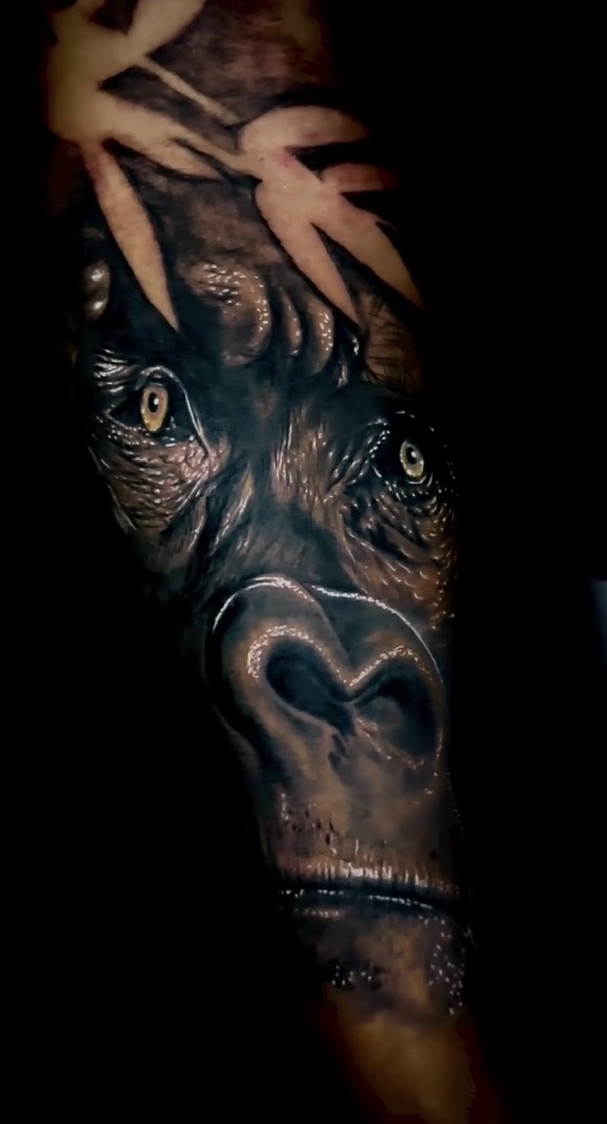 Tattoo by XRayVizionz on TattMe