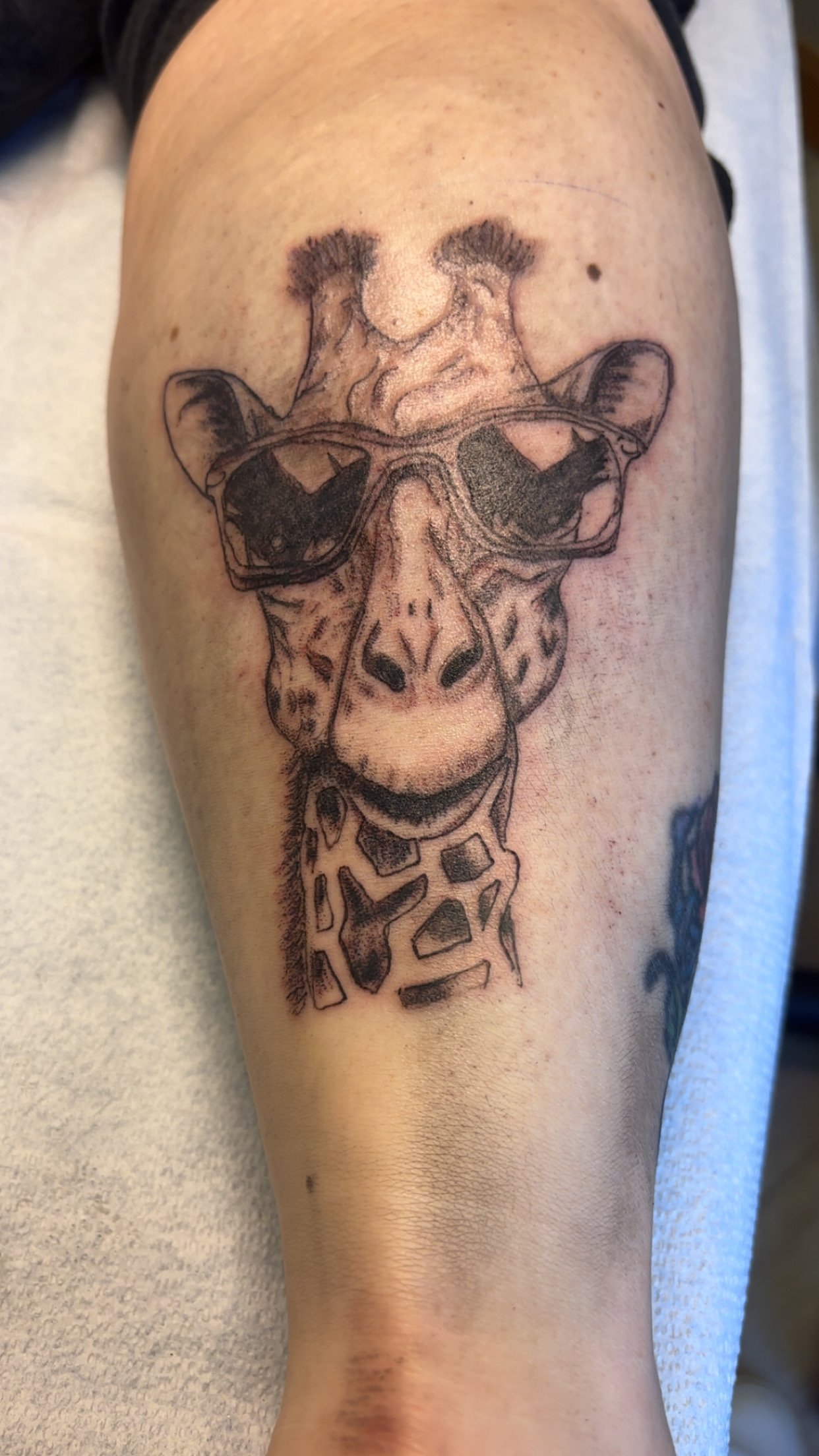 Tattoo by Second_Chance_Tattoo_Studio on TattMe
