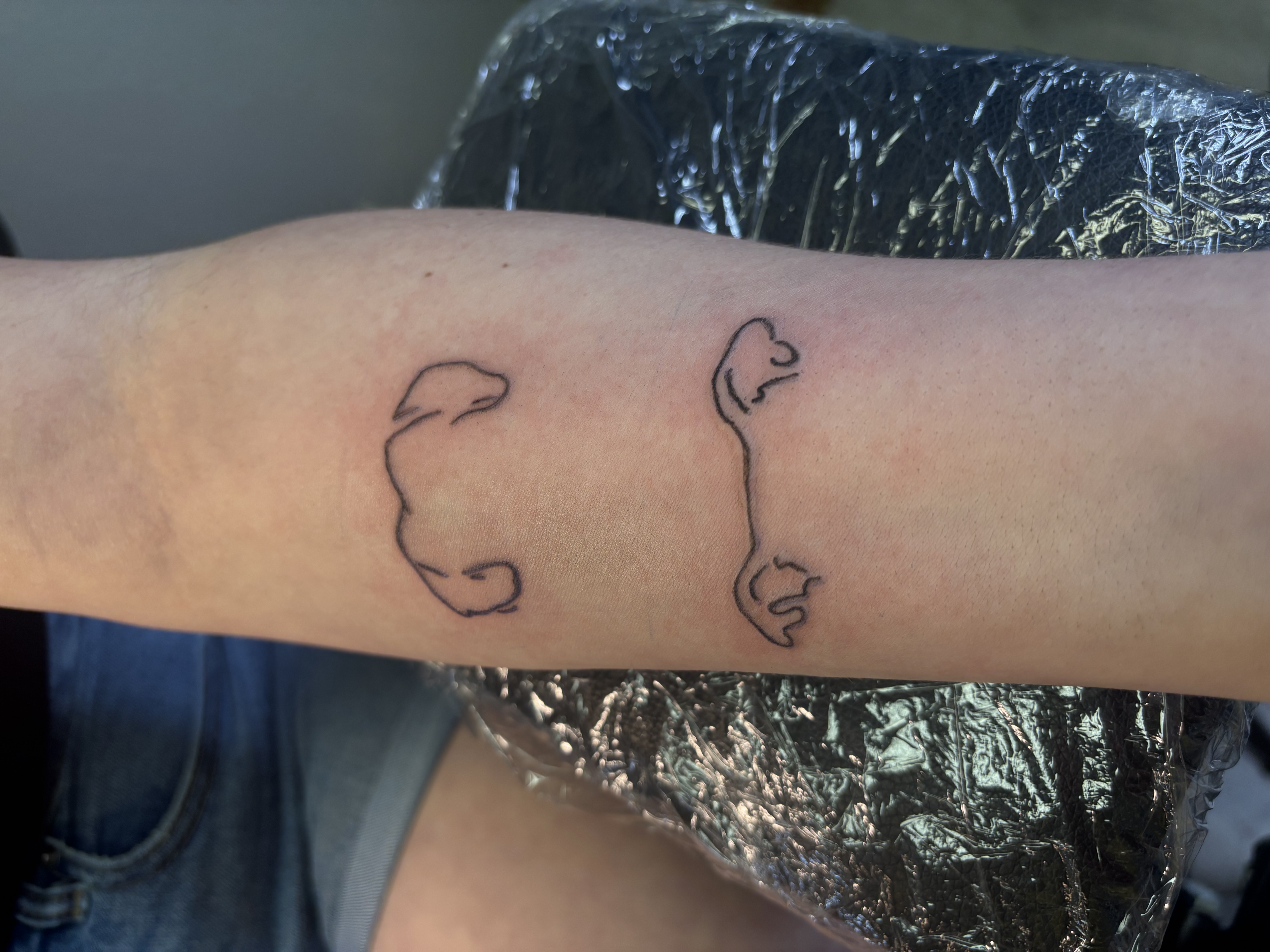 Tattoo by Second_Chance_Tattoo_Studio on TattMe