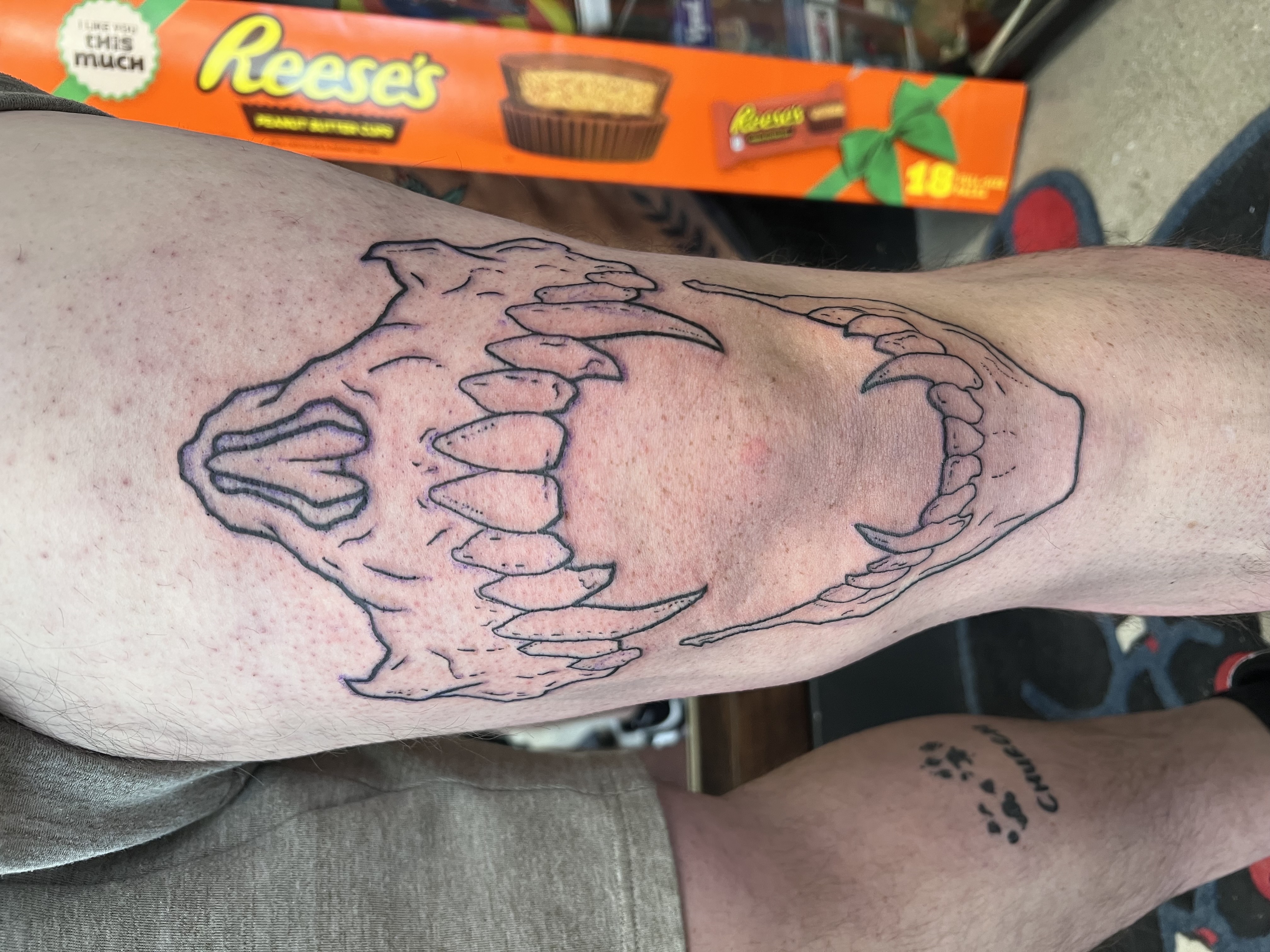 Tattoo by Matt_Mason_Tattoos on TattMe