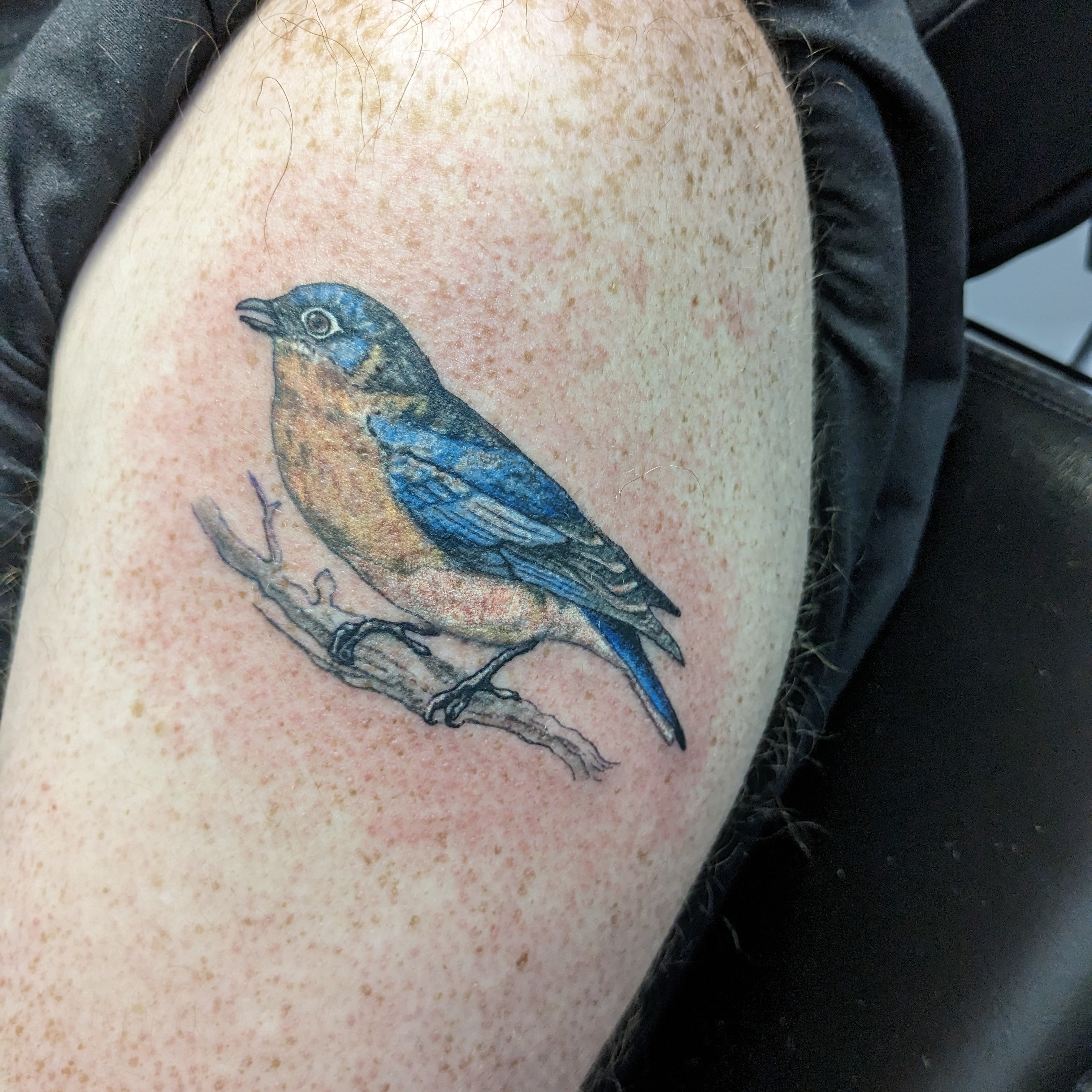 Tattoo by affiliatedtattoofamily on TattMe