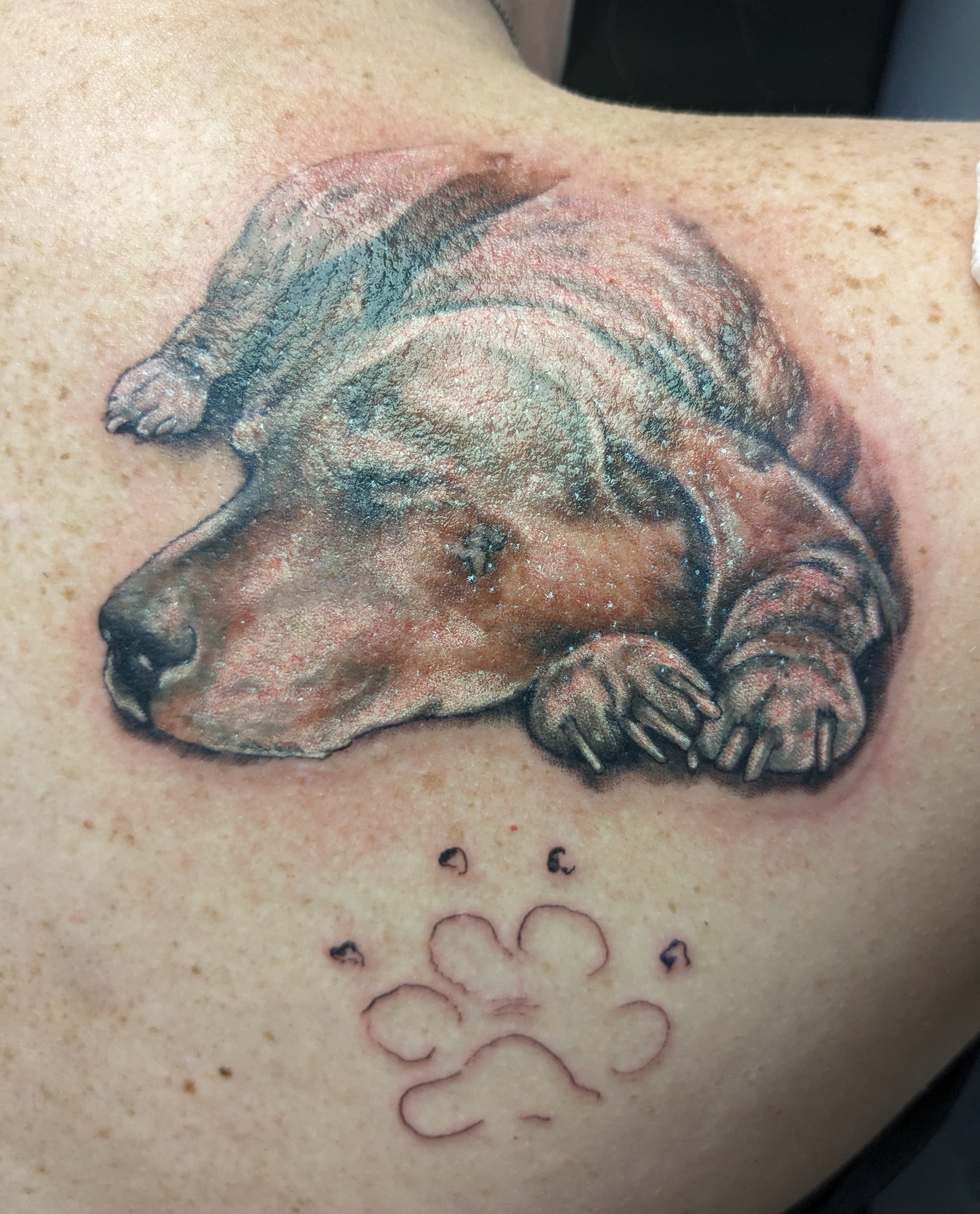 Tattoo by affiliatedtattoofamily on TattMe