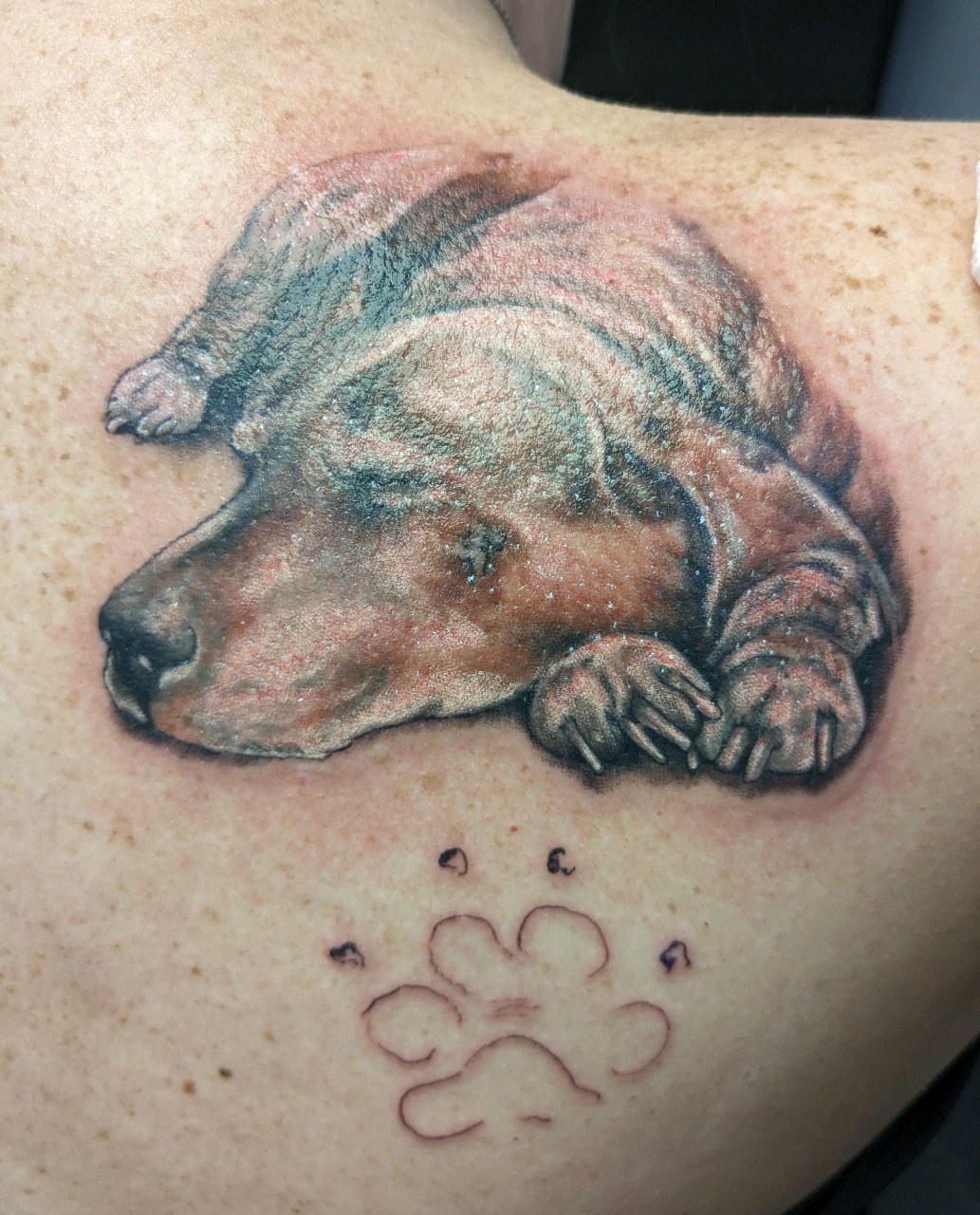 Tattoo by affiliatedtattoofamily on TattMe