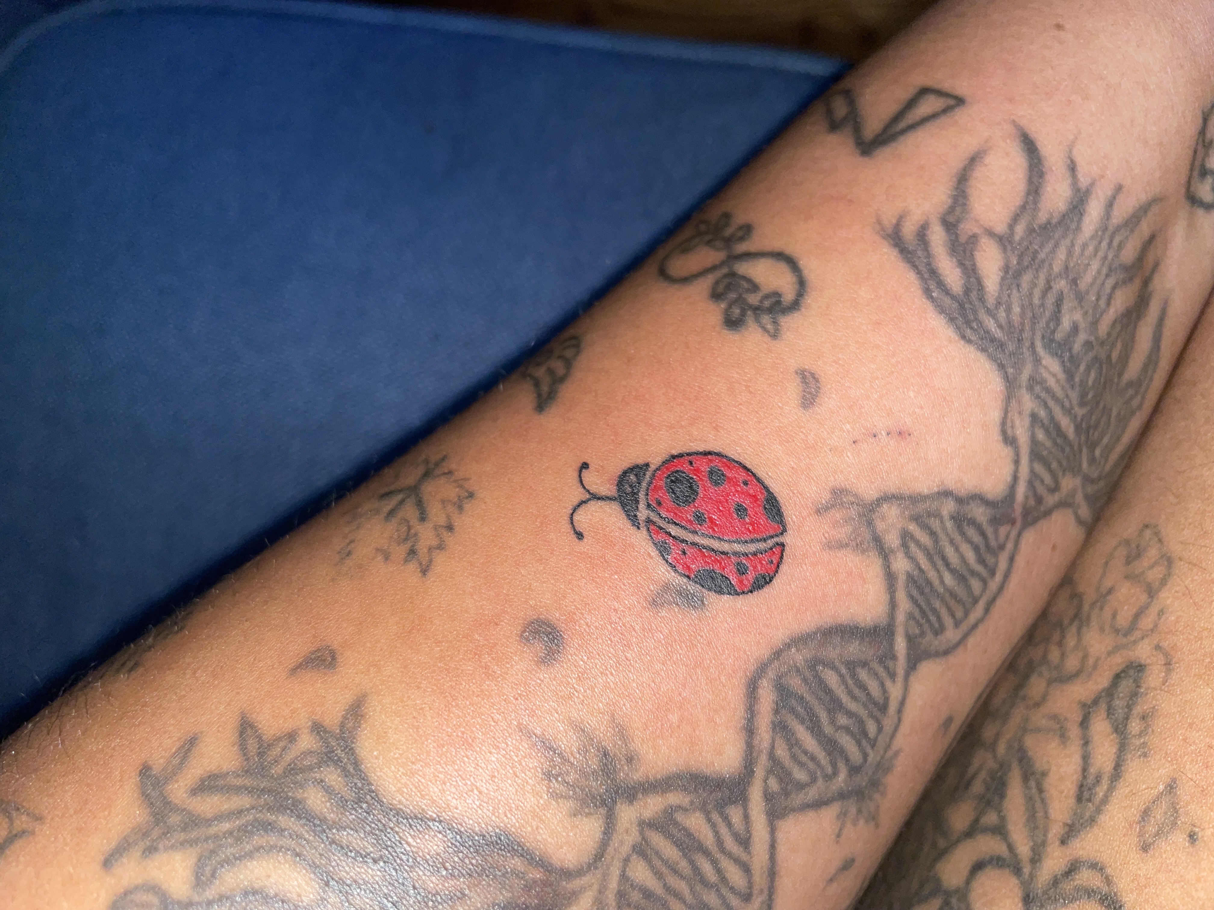 Tattoo by Shea_P on TattMe
