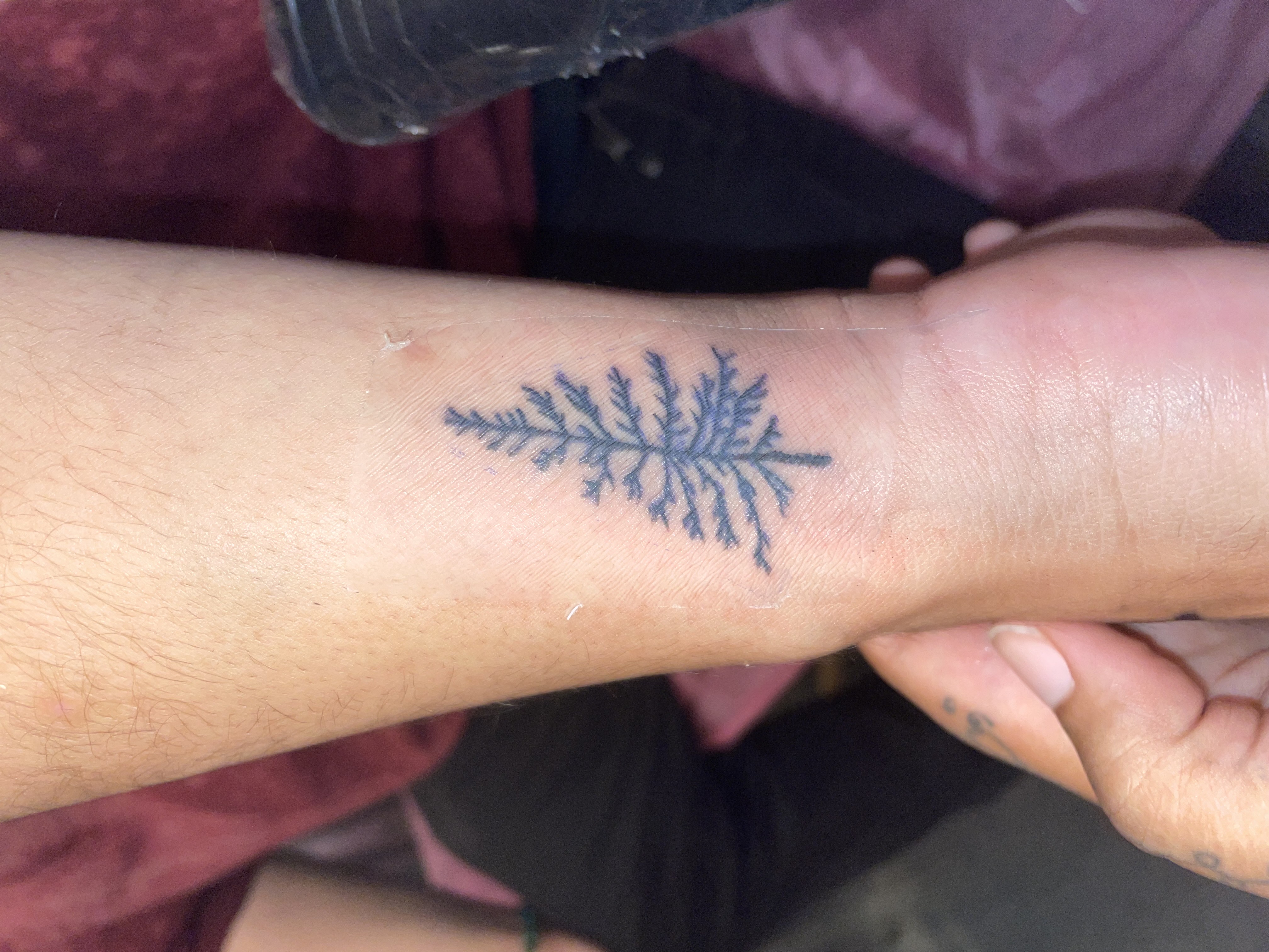 Tattoo by Shea_P on TattMe