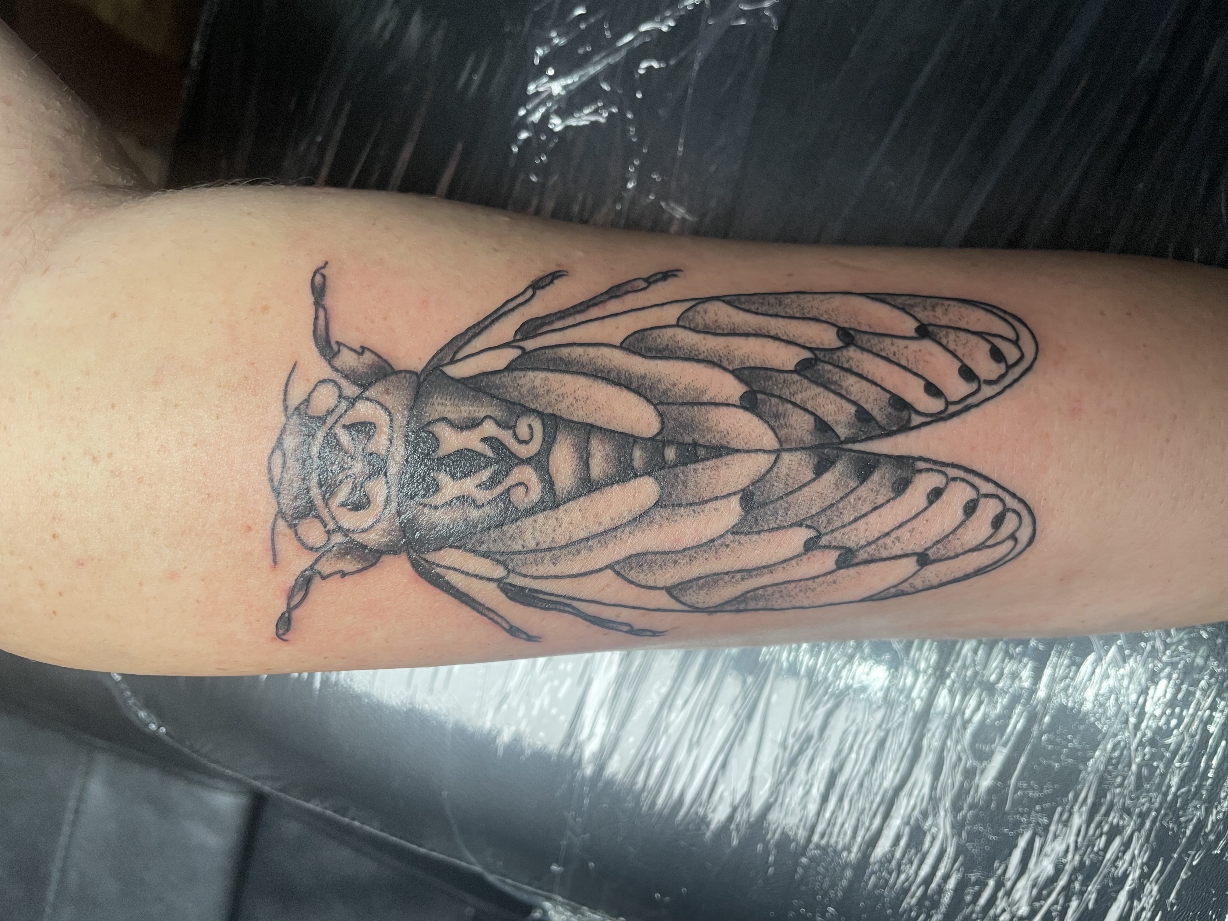 Tattoo by SilentcreationZzz on TattMe