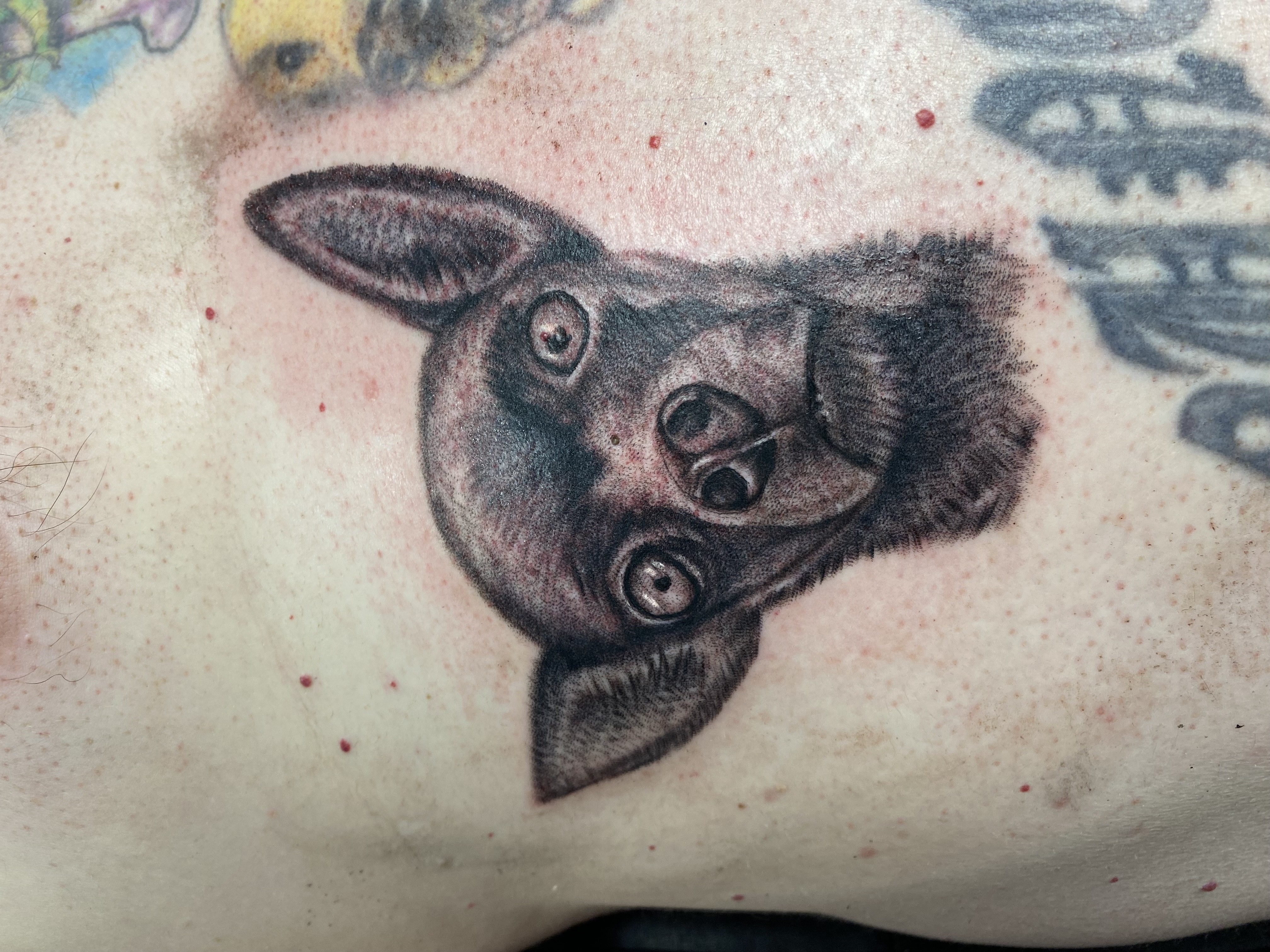 Tattoo by SilentcreationZzz on TattMe