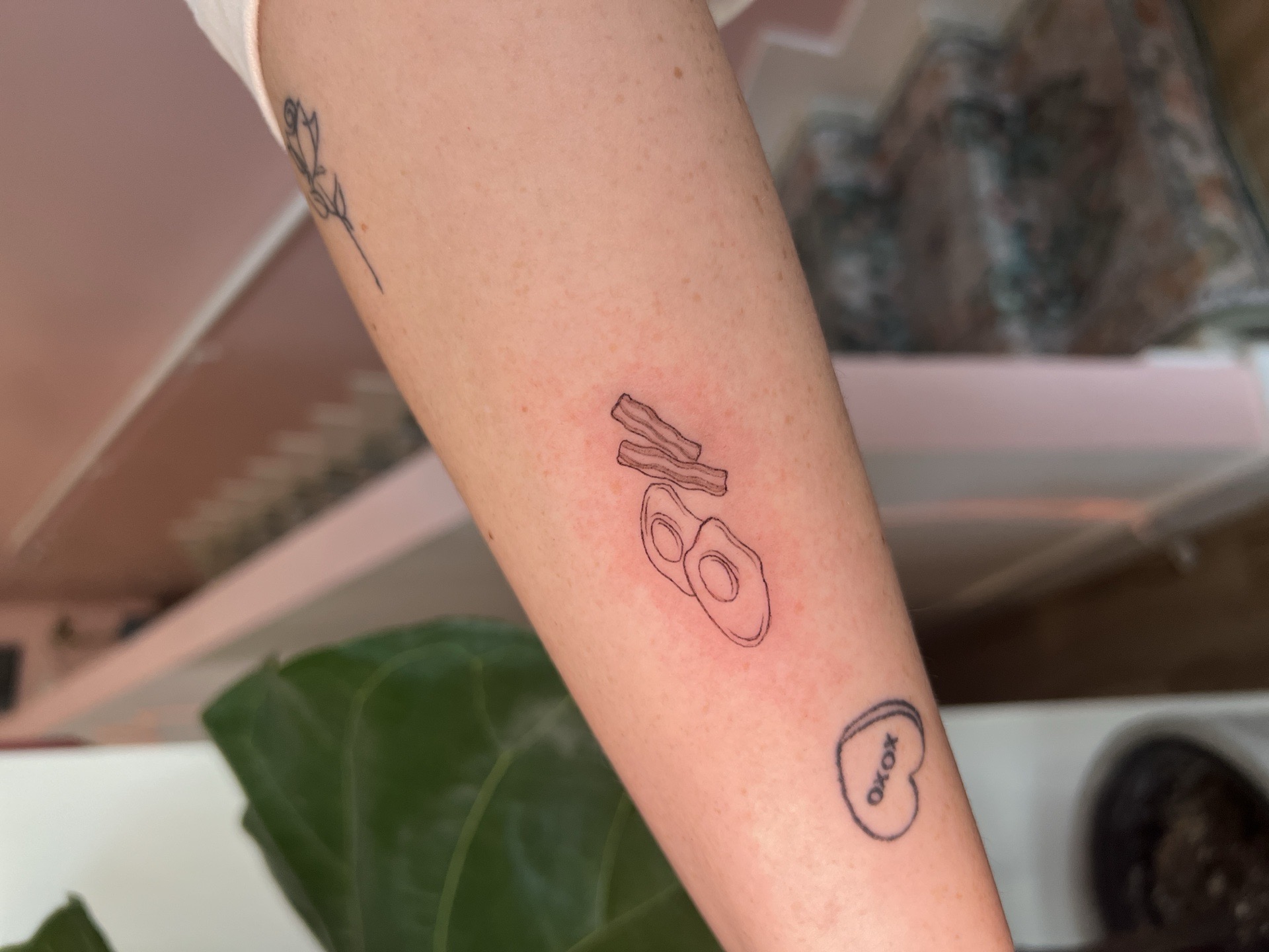Fine Line + Minimalist eggs tattoo on Forearm by cozinks on TattMe