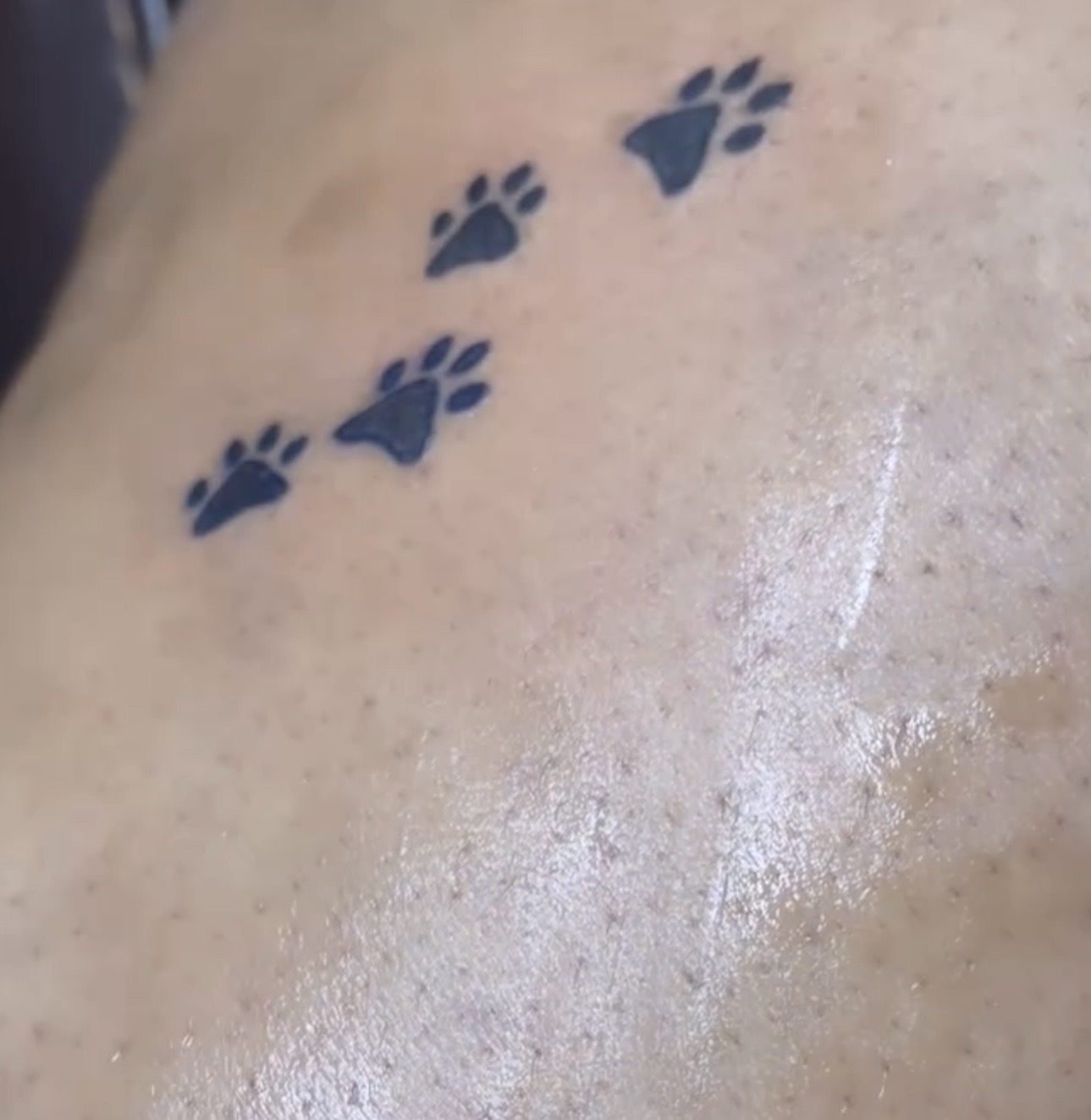 Tattoo by Mona_Lisa on TattMe
