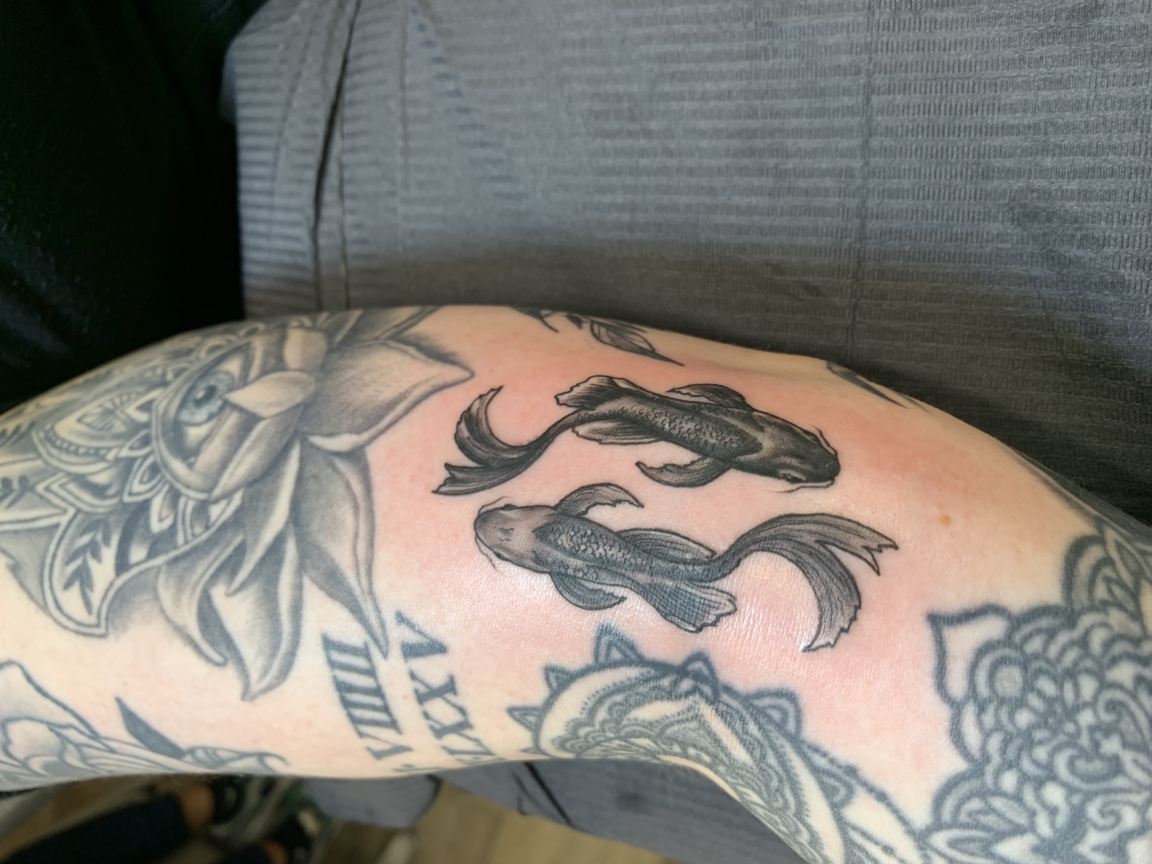 Tattoo by Modest_Ink_(Ellz) on TattMe