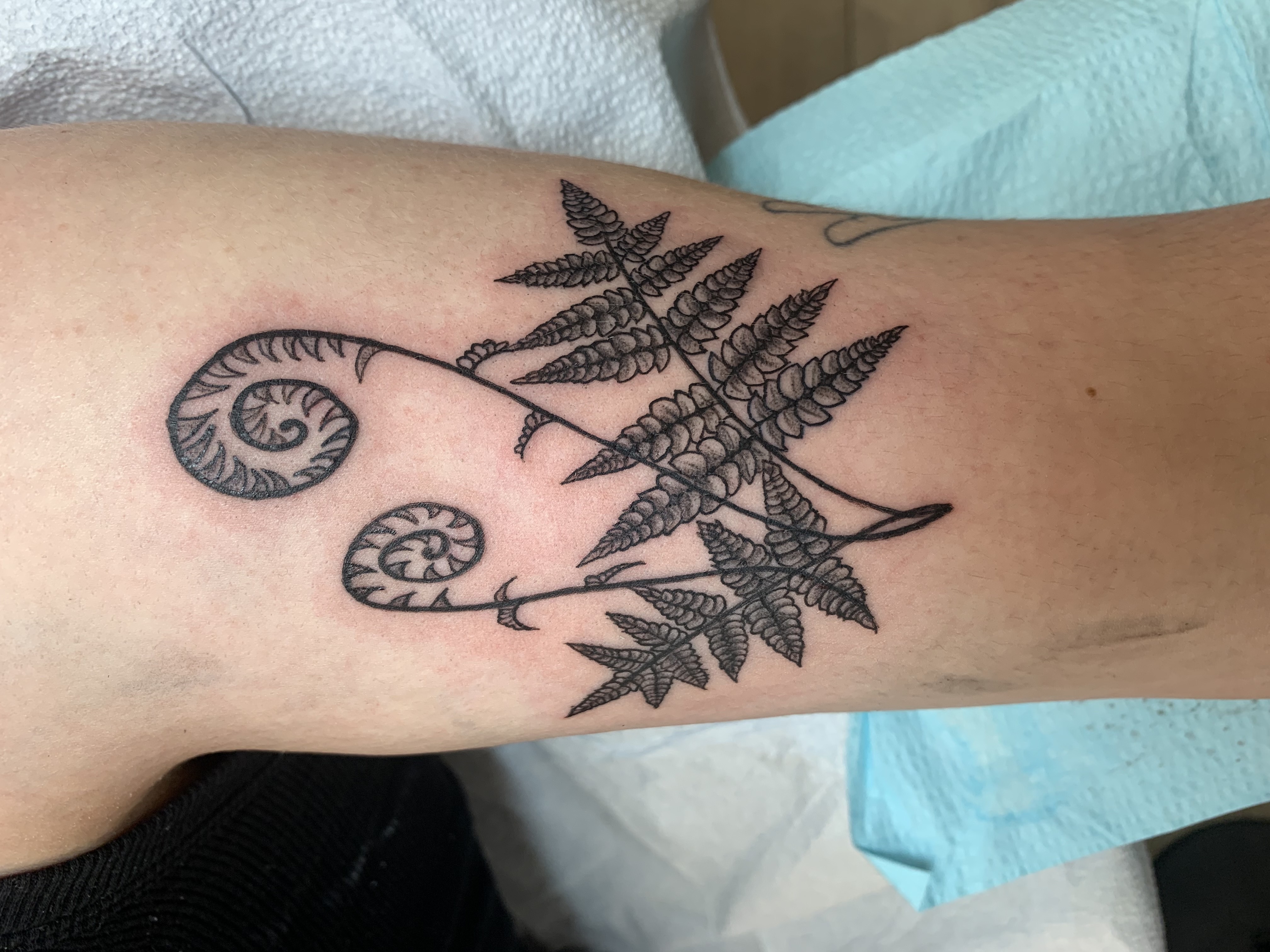 Tattoo by Modest_Ink_(Ellz) on TattMe
