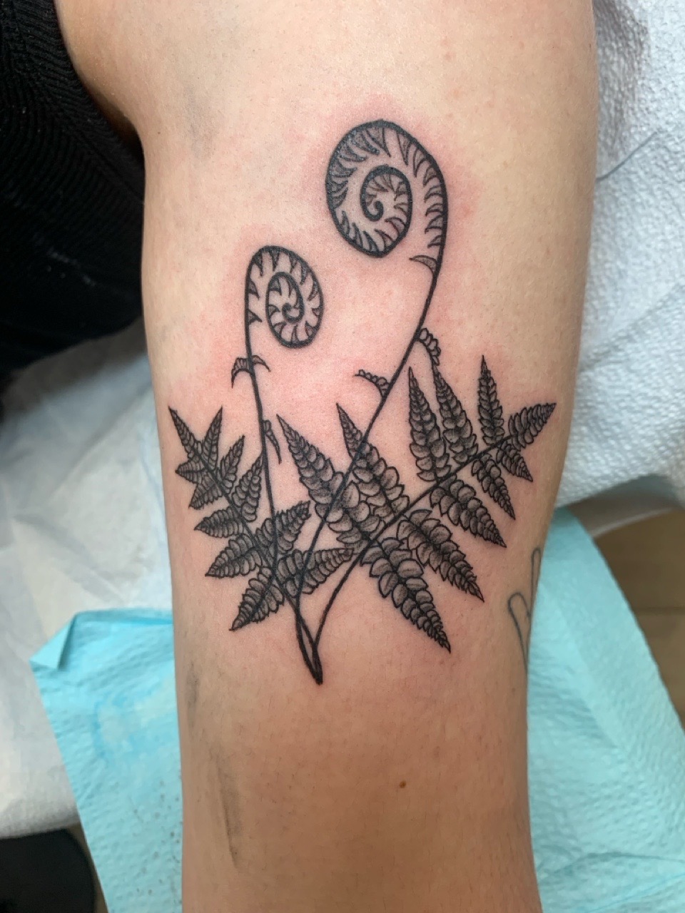 Tattoo by Modest_Ink_(Ellz) on TattMe
