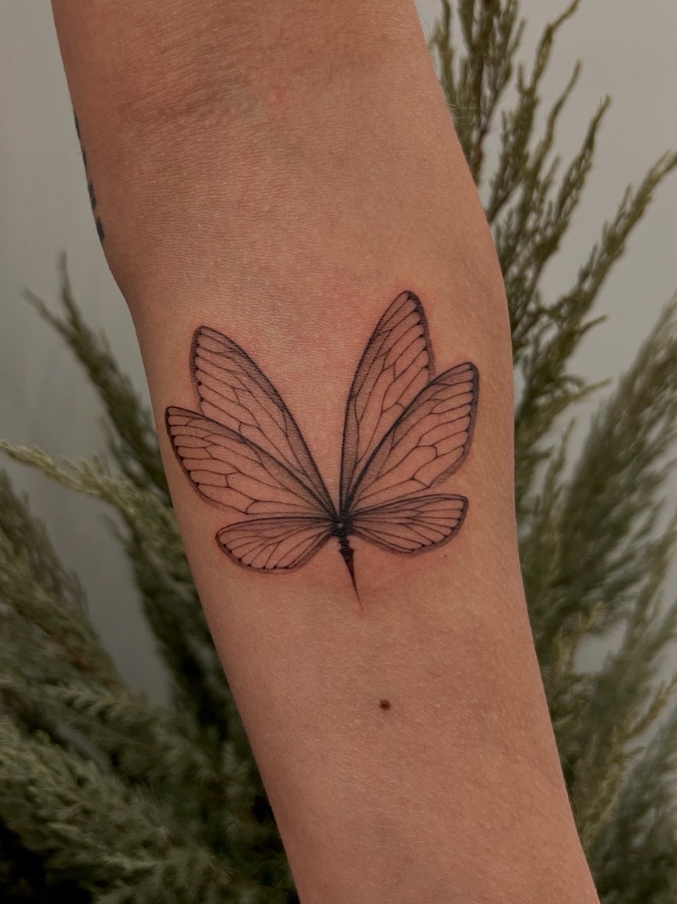 Tattoo by Erica on TattMe
