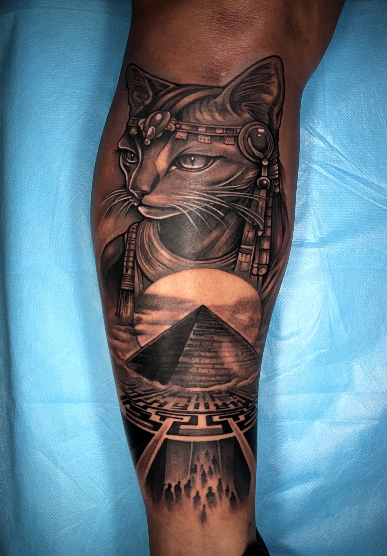 Black & Grey + Realism cat tattoo on Calf by artizmylov on TattMe