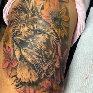 3D + Photo Realism lion tattoo on Ribs by Redtats on TattMe