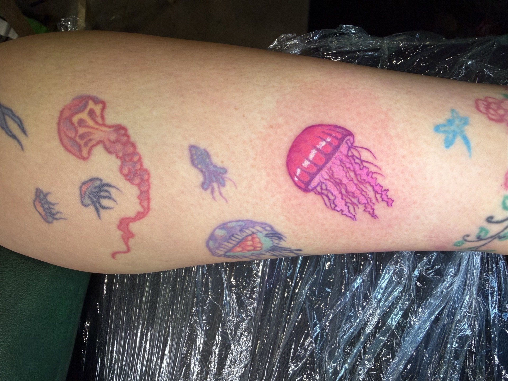 Color + Illustrative jellyfish tattoo on Upper Arm by Kiwi on TattMe