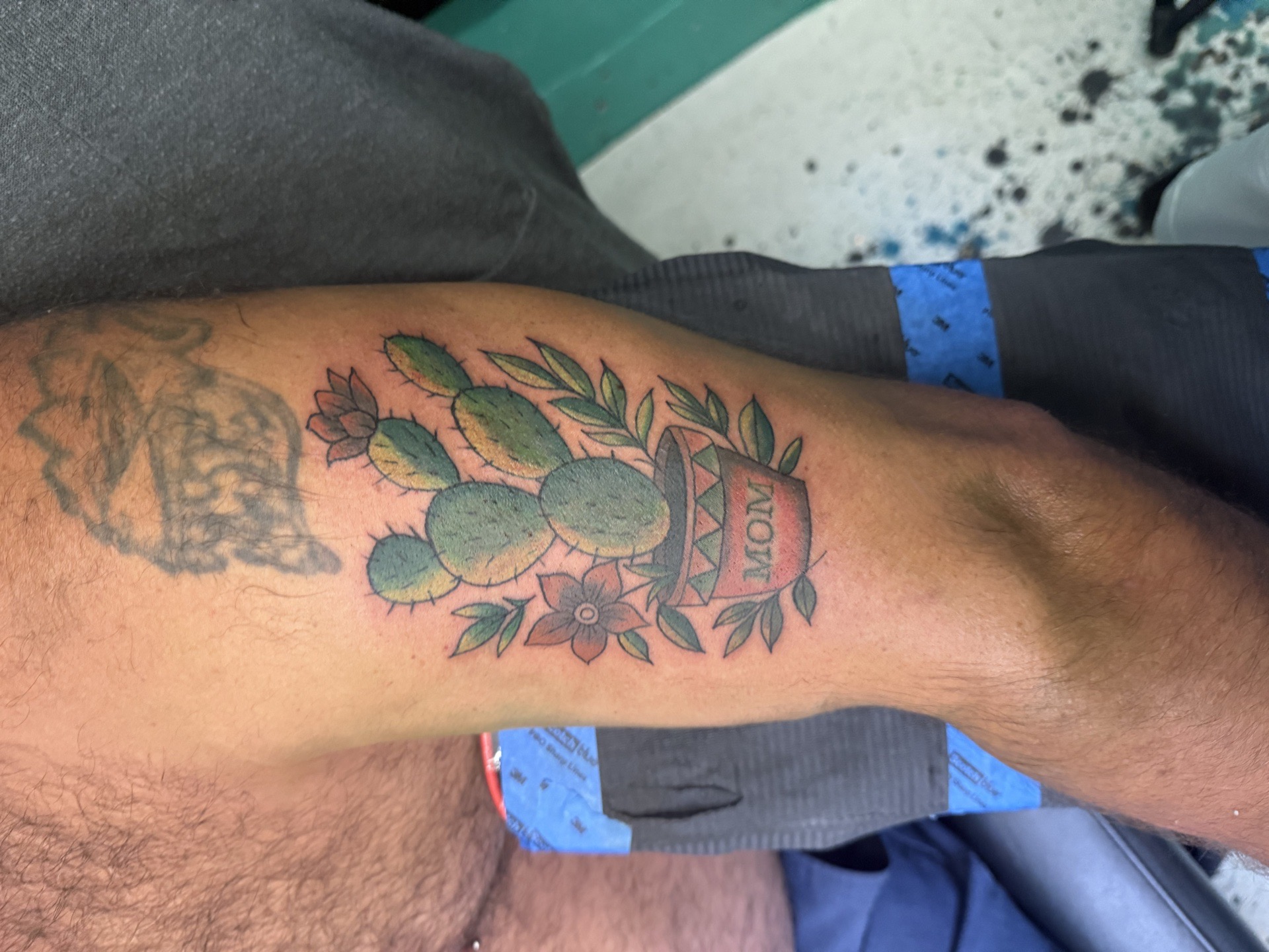 Traditional + Color cactus tattoo on Upper Arm by needleworks_tattoo_studio on TattMe