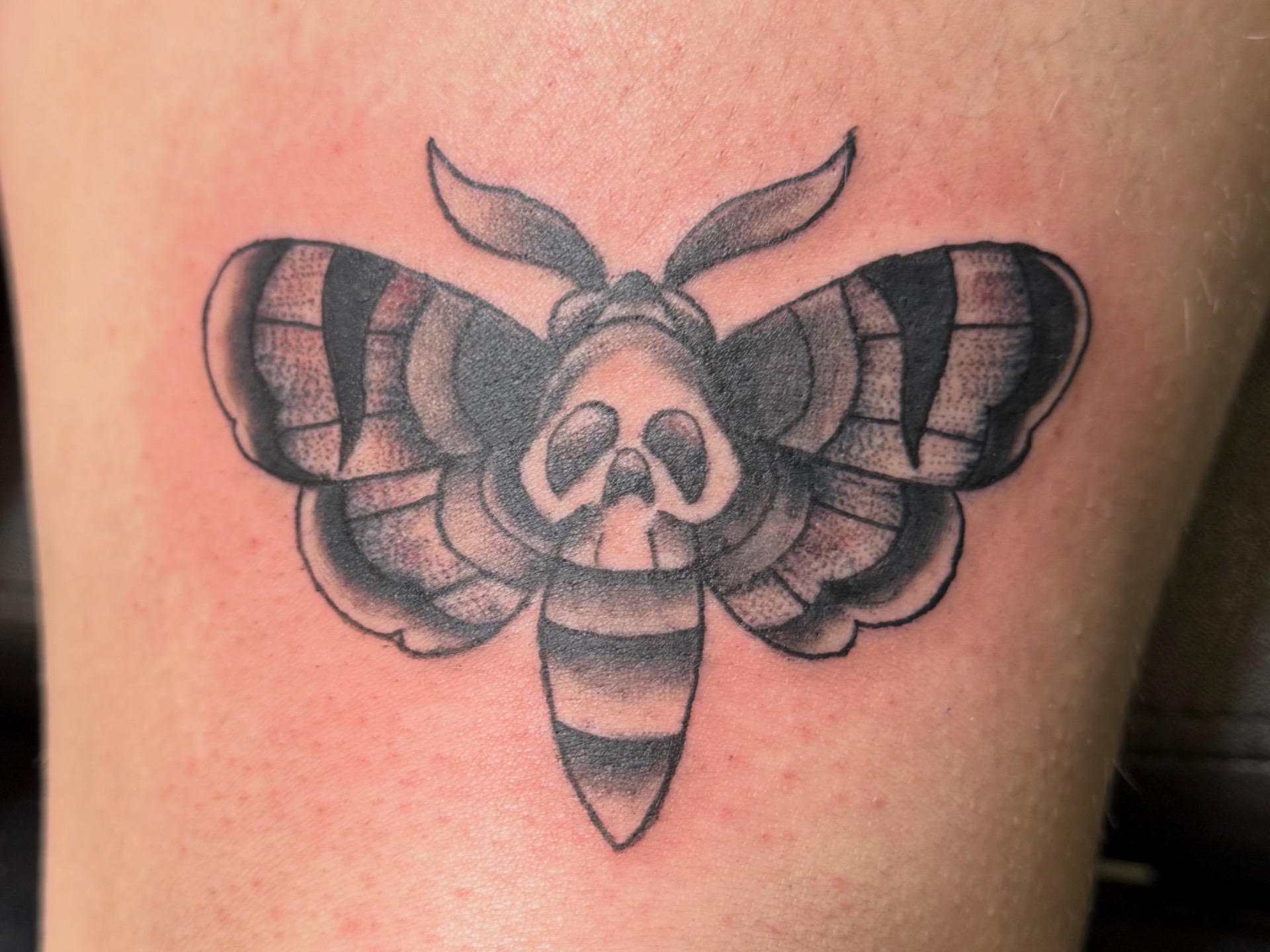 Black & Grey + Traditional moth tattoo on Thigh by needleworks_tattoo_studio on TattMe