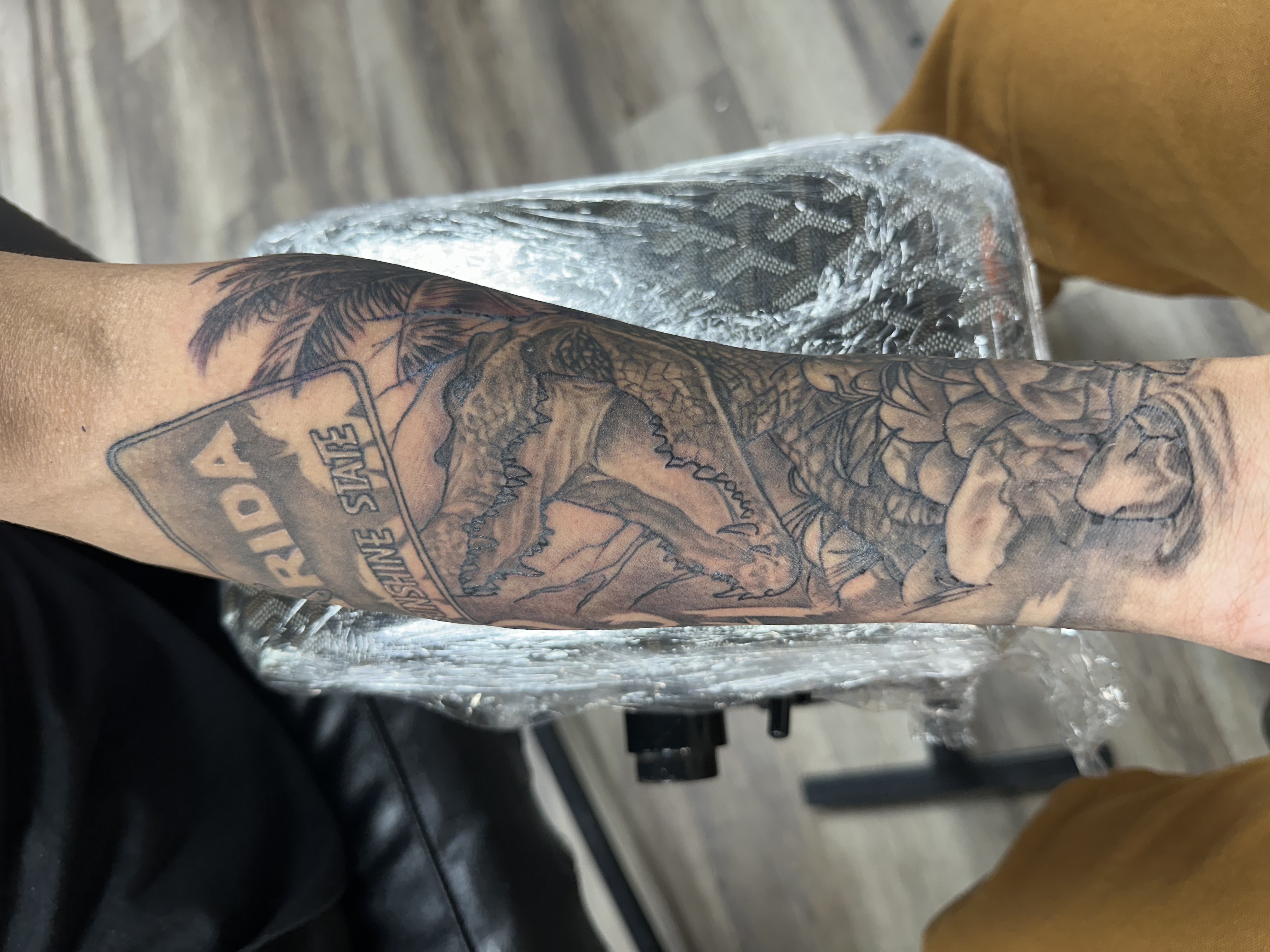 Realism + Animals Gator tattoo on Forearm by LameDoingTatts on TattMe