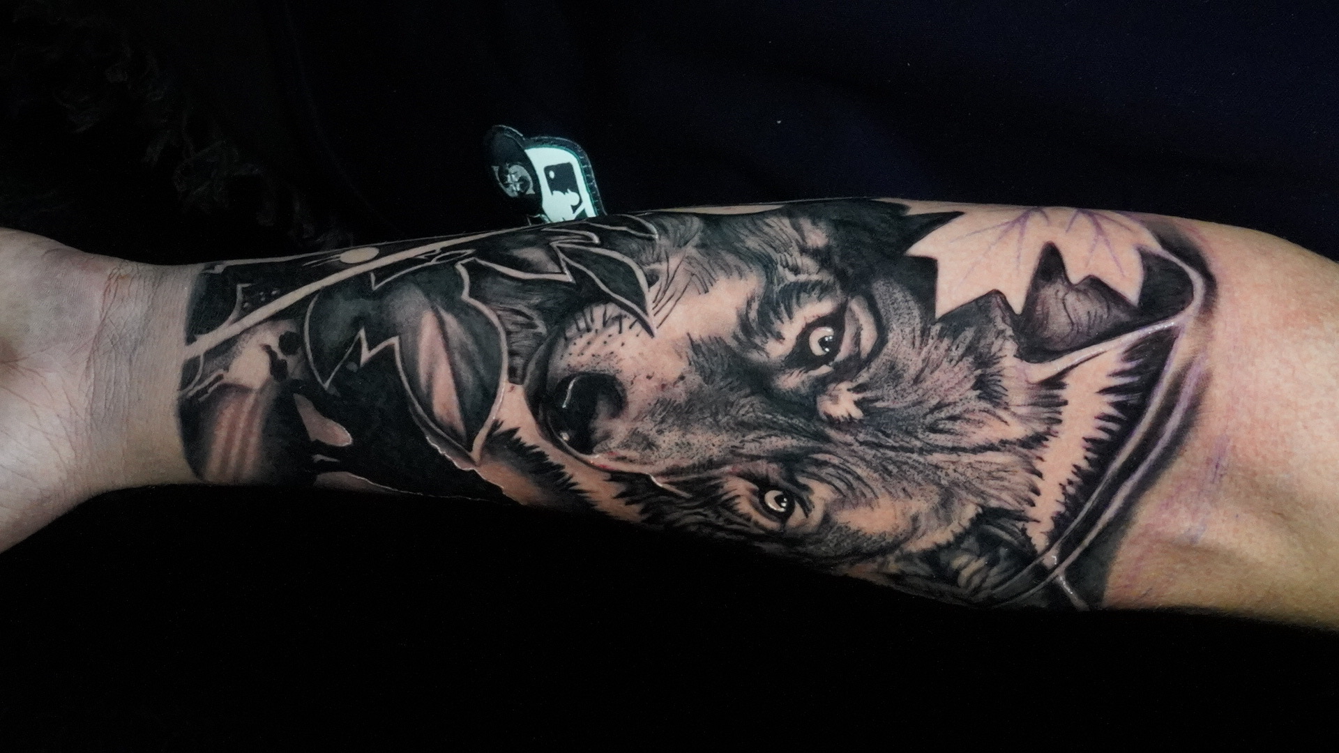 Black & Grey + Realism wolf tattoo on Forearm by TATMANERC on TattMe