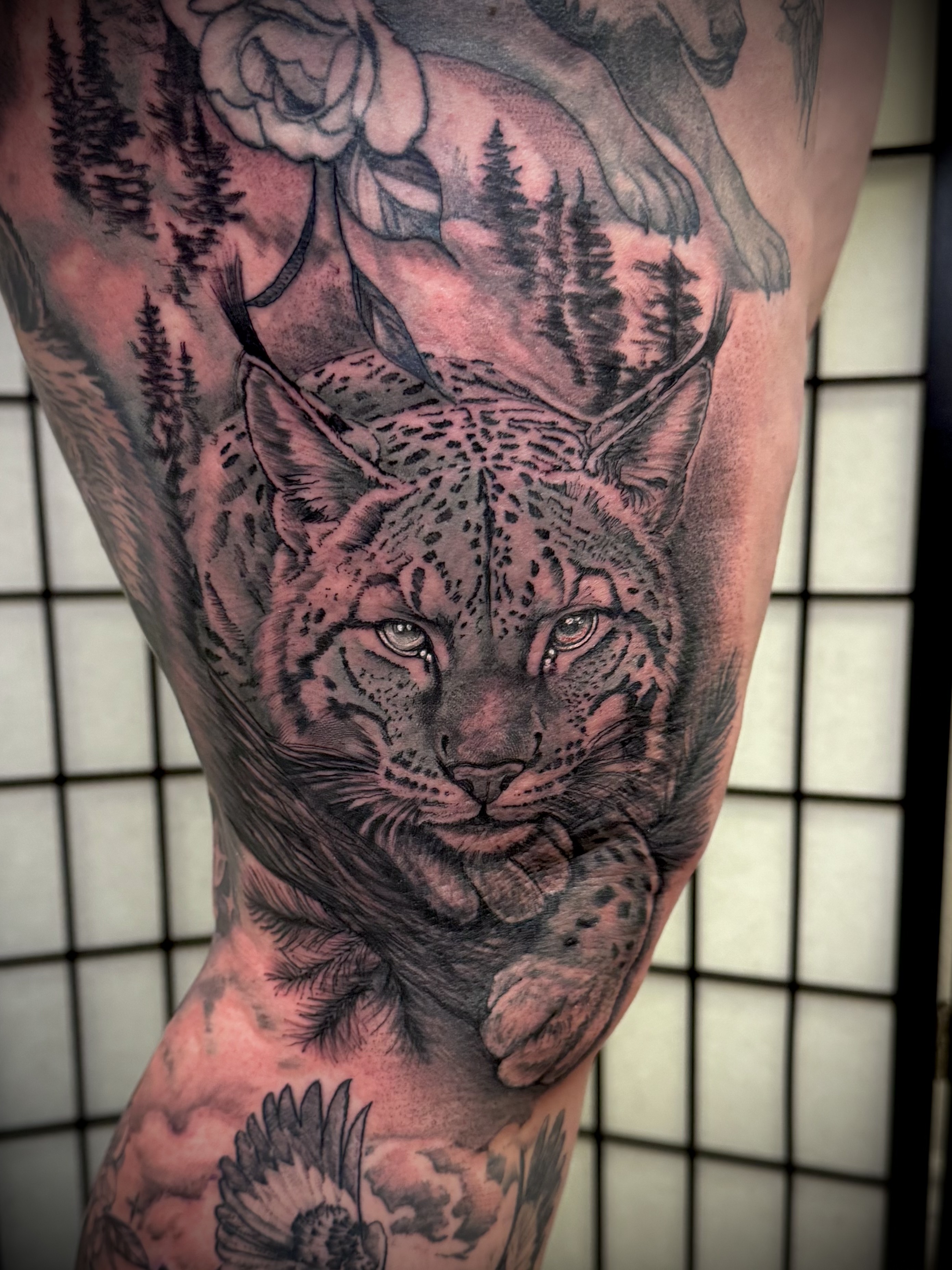 Black & Grey + Realism lynx tattoo on Thigh by DTXIII on TattMe