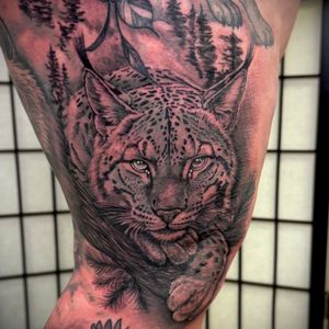 Black & Grey + Realism lynx tattoo on Thigh by DTXIII on TattMe